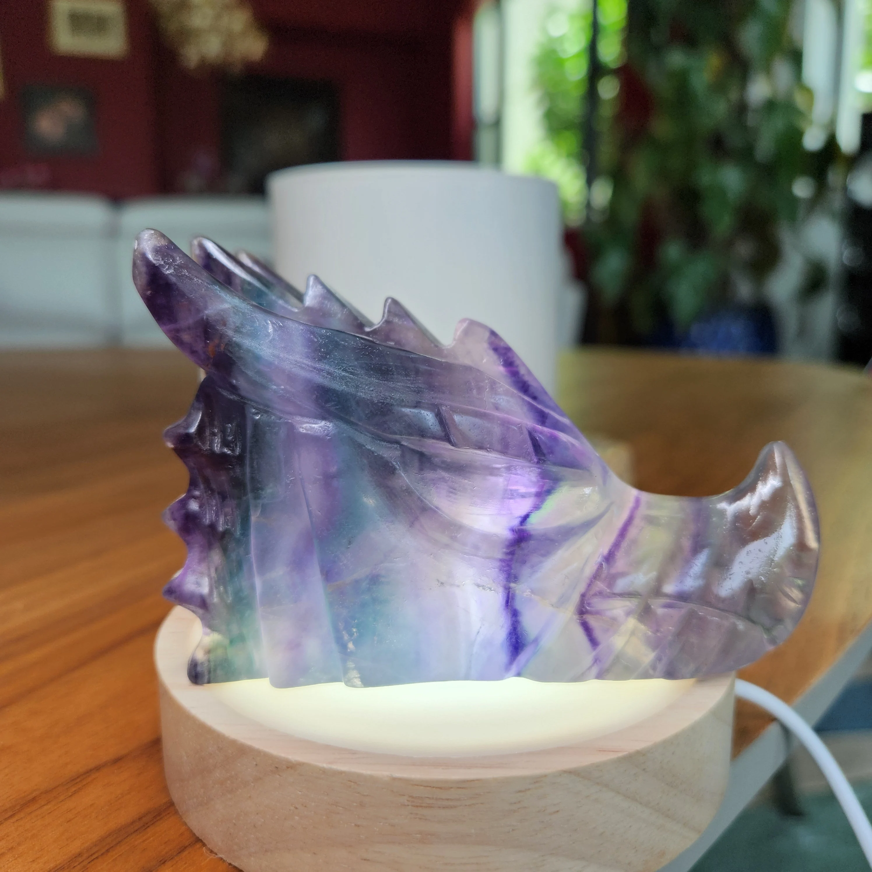 Fluorite Dragonhead • 4" Rainbow Fluorite Dragon crystal skull head 