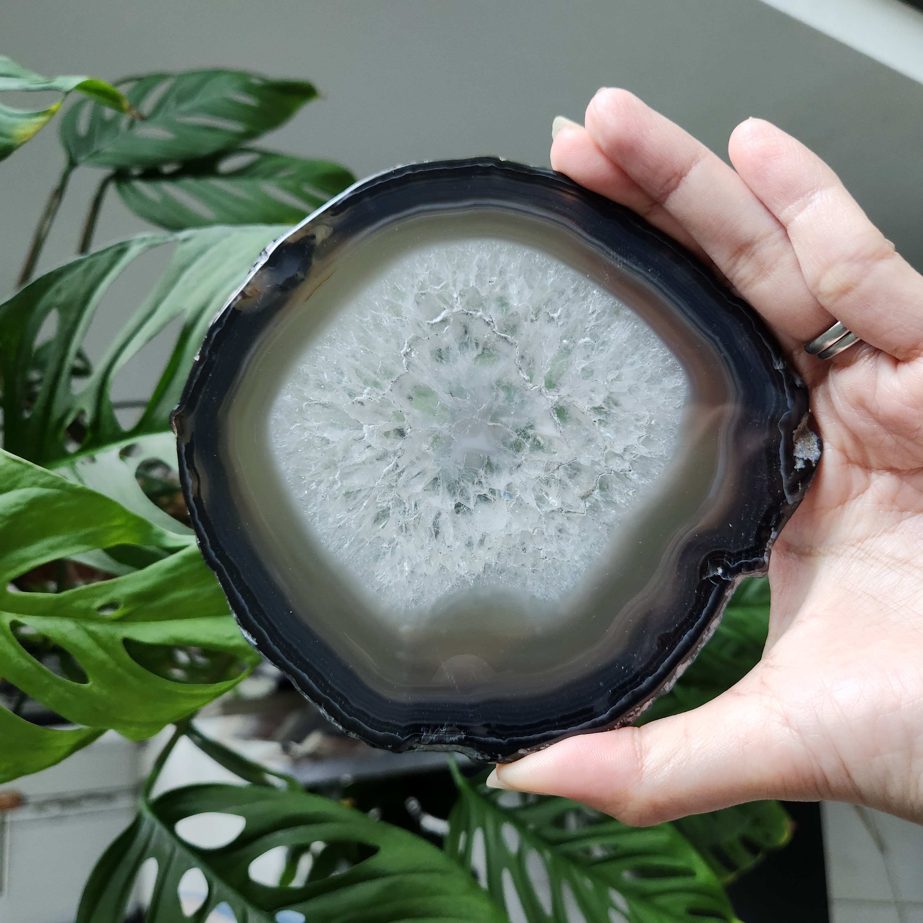Agate slice • 5" Banded Agate with quartz crystal gemstone slab • 