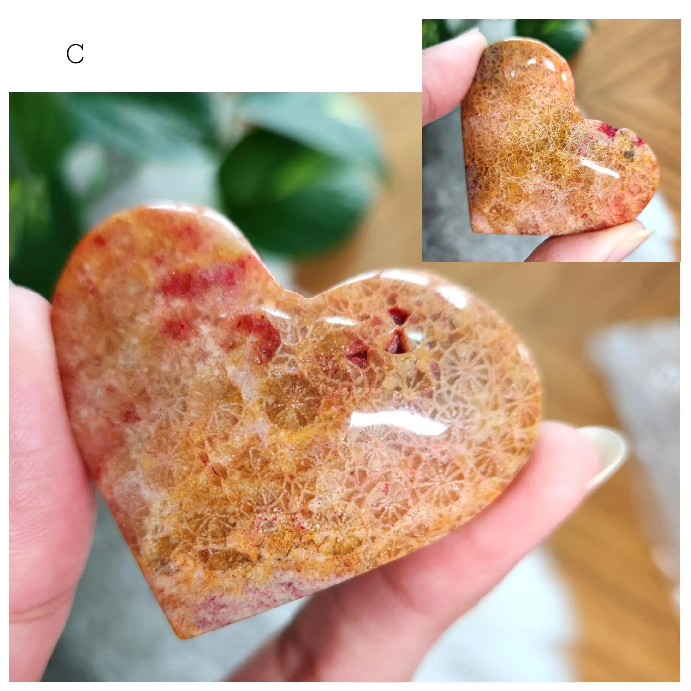 Coral Jade Heart • Fossilized Coral Jade crystal heart carving • Coral Stone heart Crystal home decoration gift