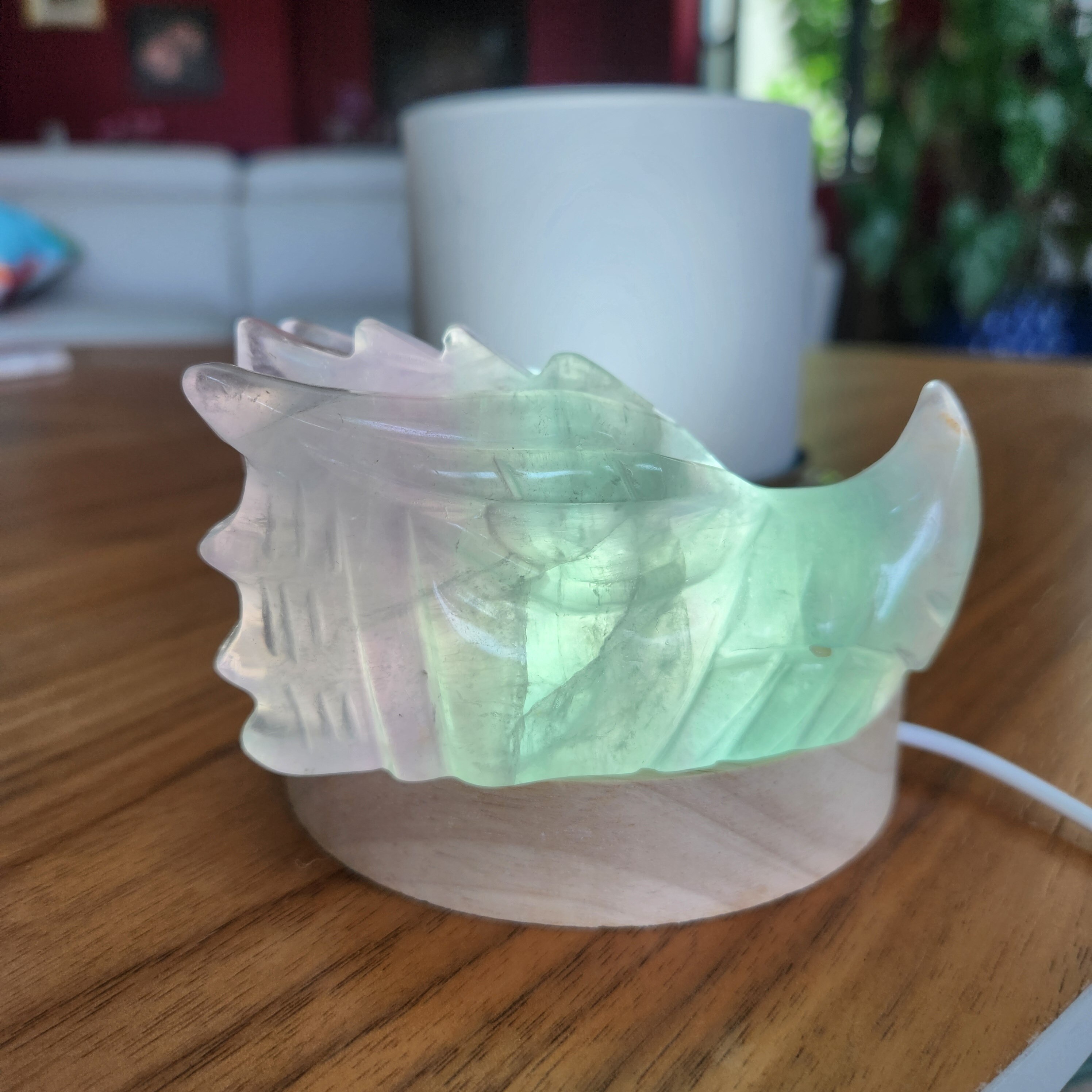 Fluorite Dragonhead • 3.8" crystal Fluorite Dragon Head Skull 