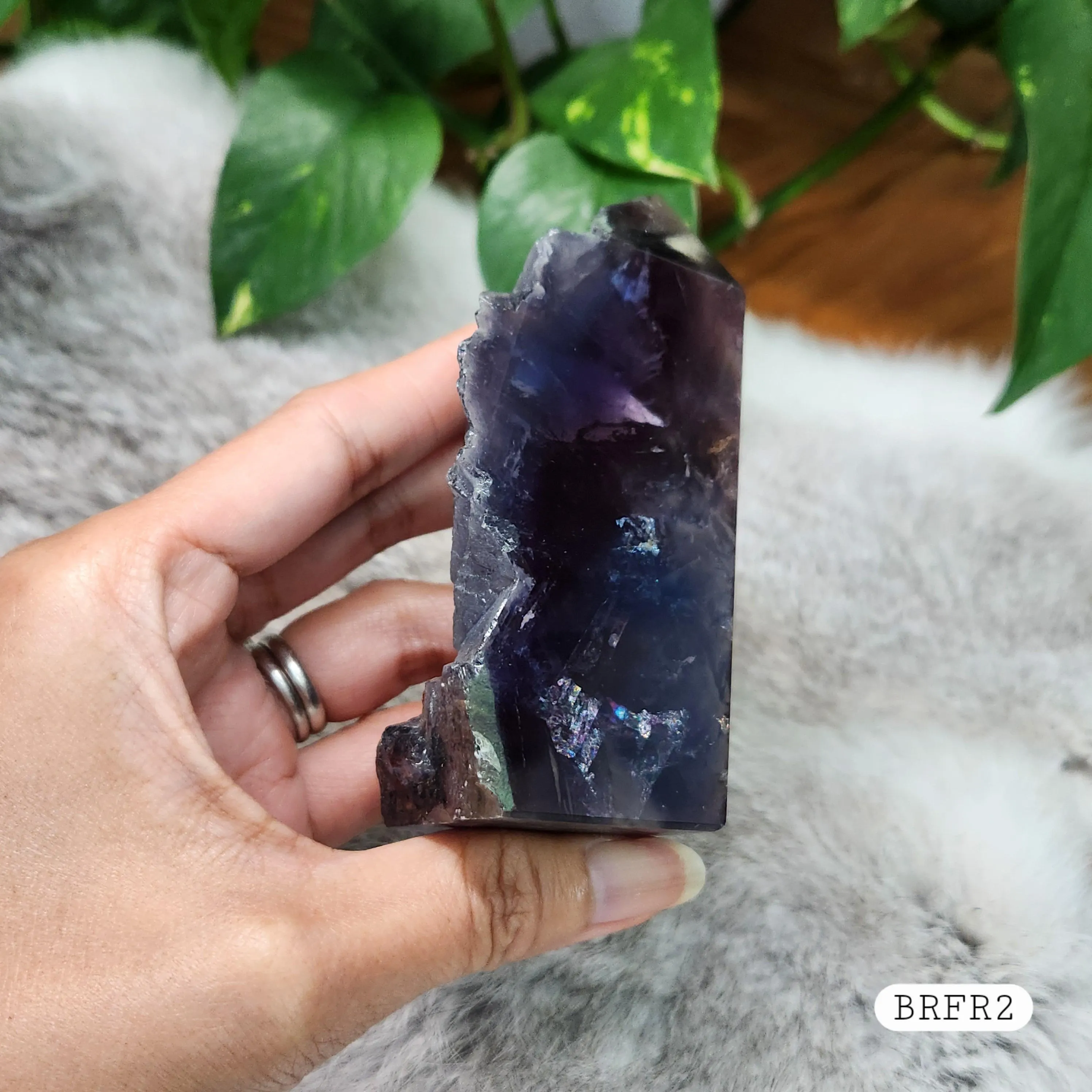 Black Rose Fluorite Point - 4" Black Rose Fluorite crystal point 