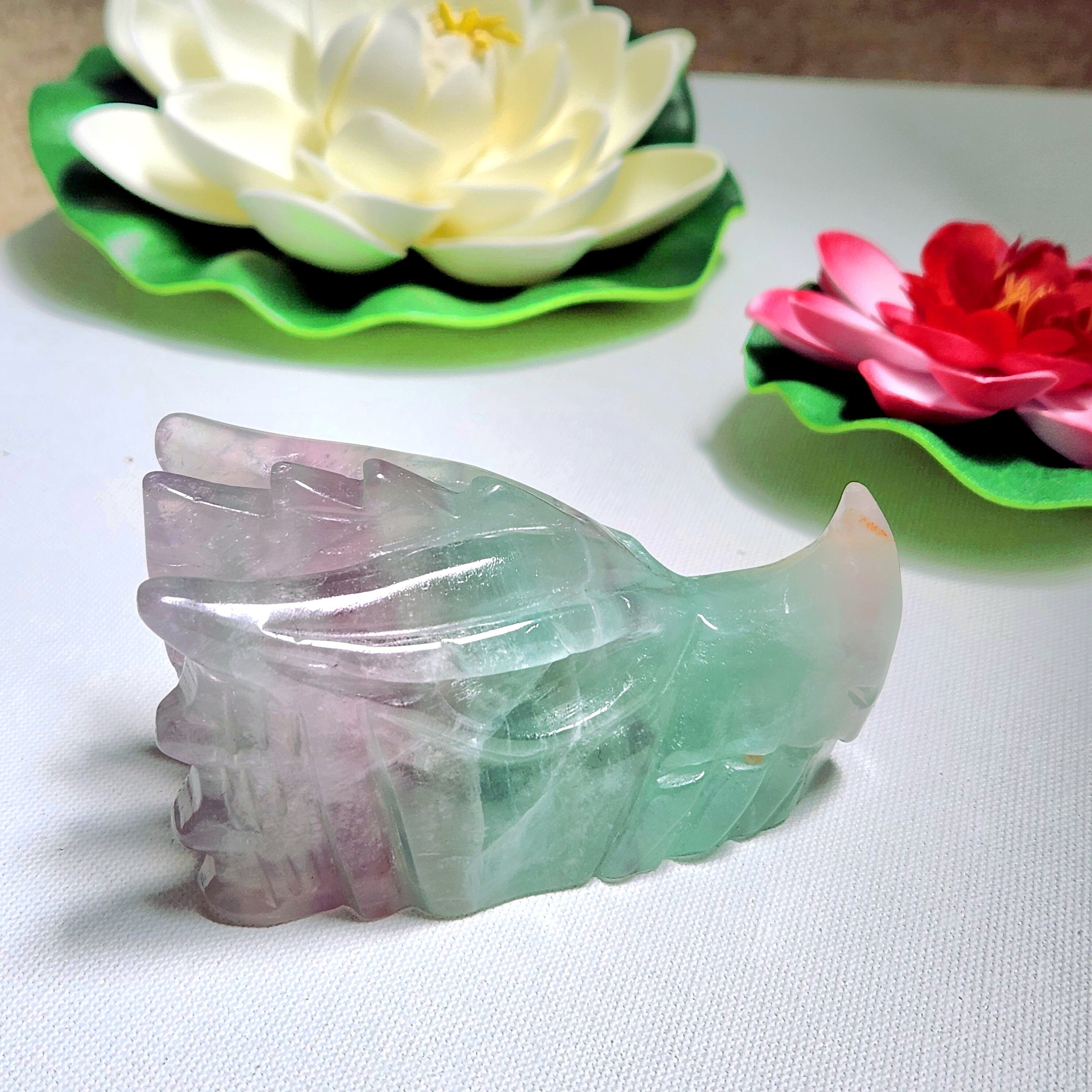 Fluorite Dragonhead • 3.8" crystal Fluorite Dragon Head Skull 