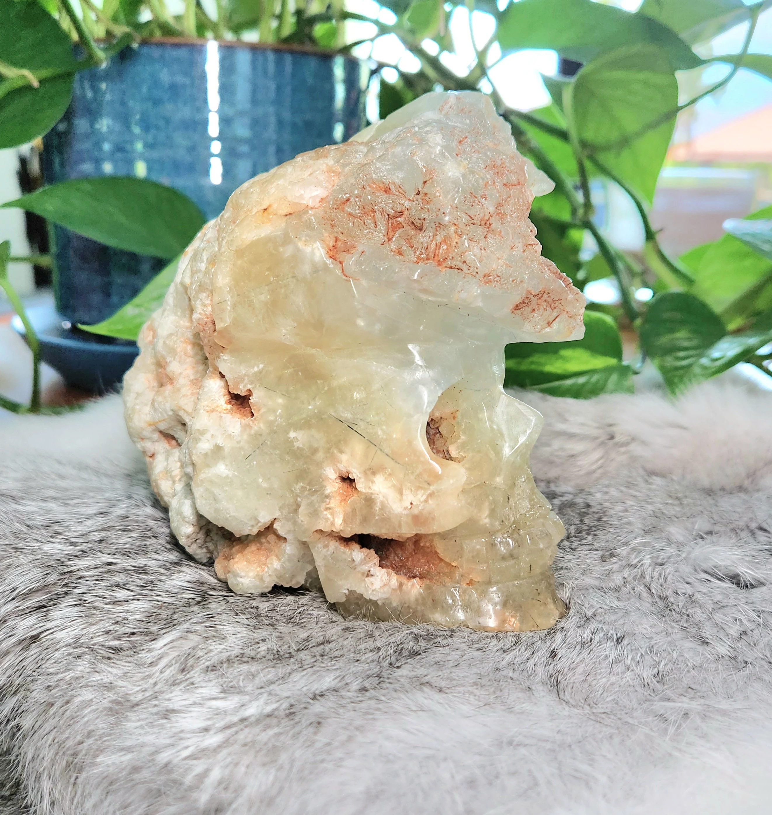 Prehnite skull • 4.5" Unique Rare crystal skull head • Raw cluster crystal skull collection