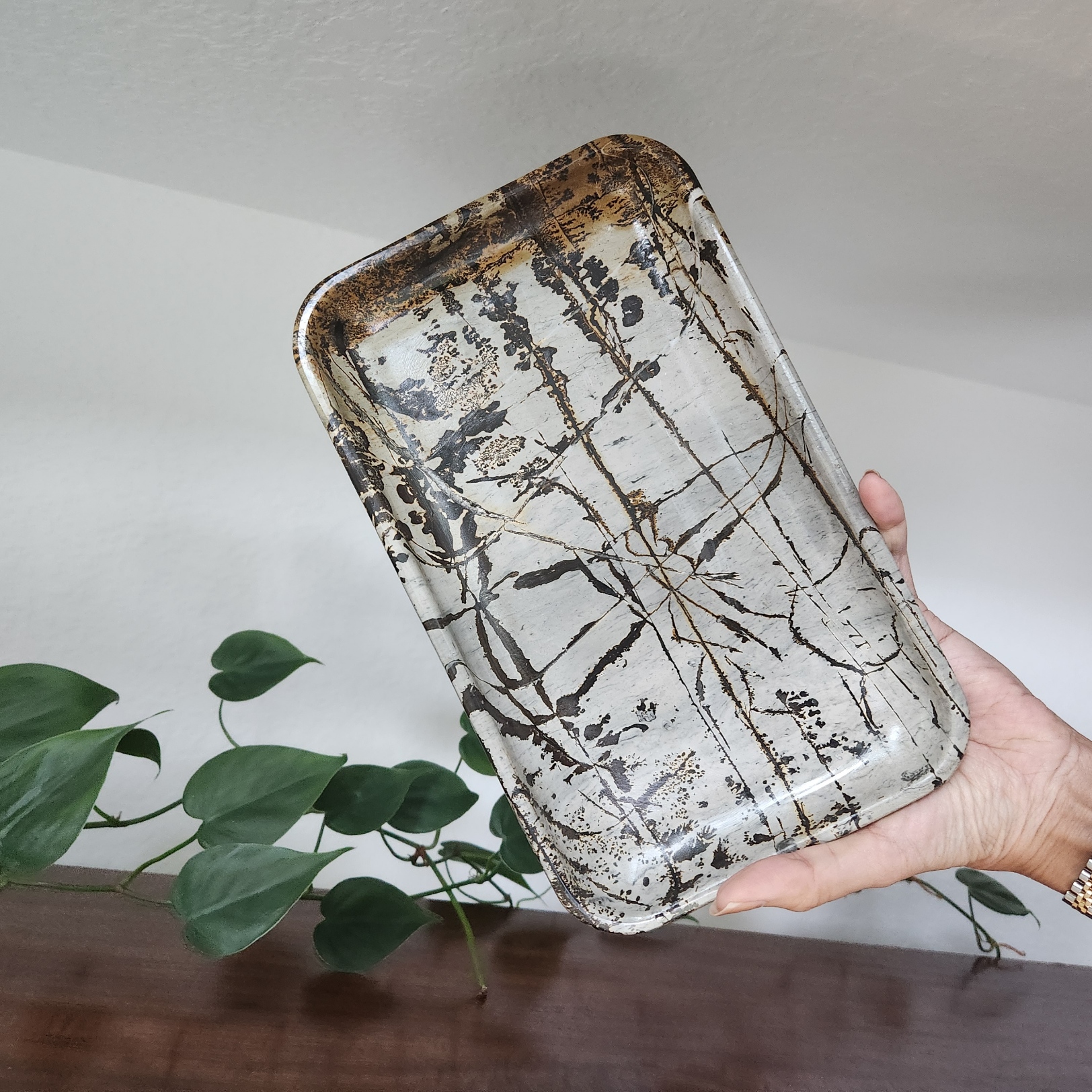 Picture Jasper Plate • 10" Picture stone platter • Crystal holder platter • Crystal gift Home Decoration