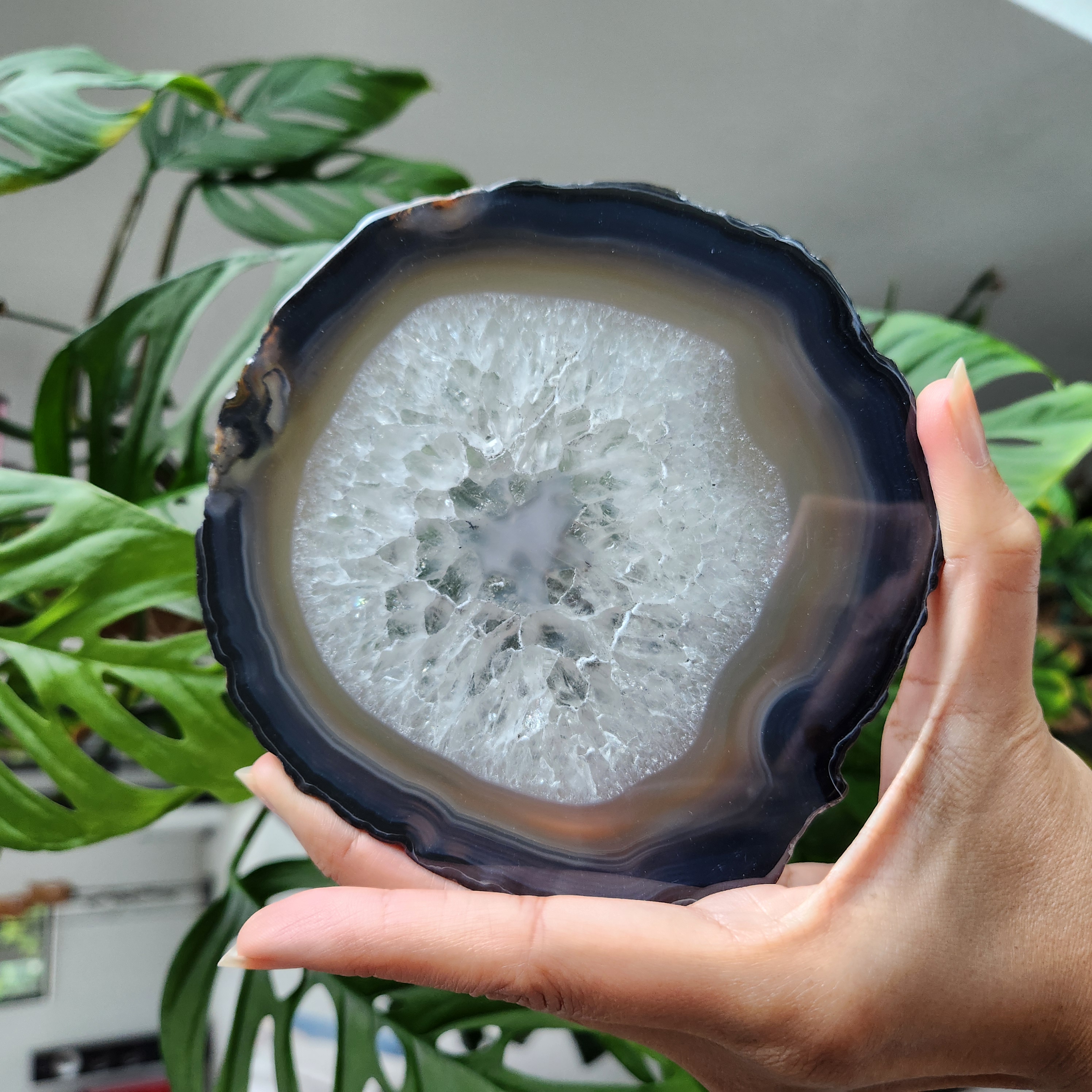 Agate slice • 5" Banded Agate with quartz crystal gemstone slab • 