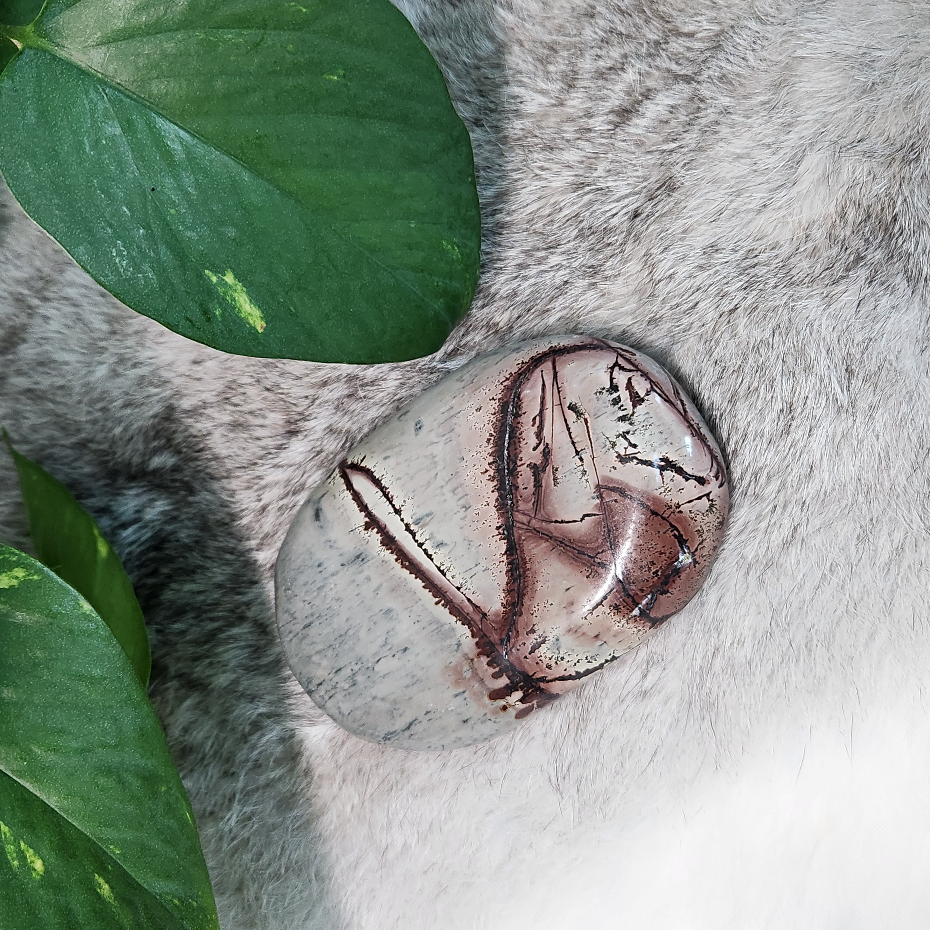 Picture Jasper Palm • Large 3.9" Picture Jasper palmstone • Crystal palm stone gift healing reiki home decoration