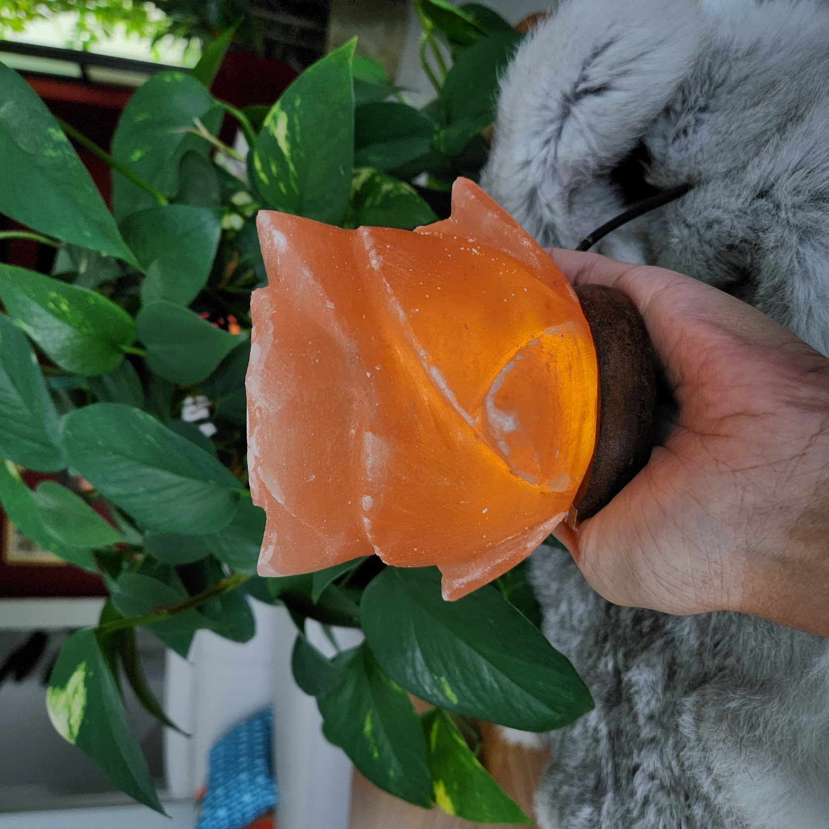 Salt Lamp • Himalayan Rose flower shape lamp • Flower night light - Healing Crystal Gift Home decoration