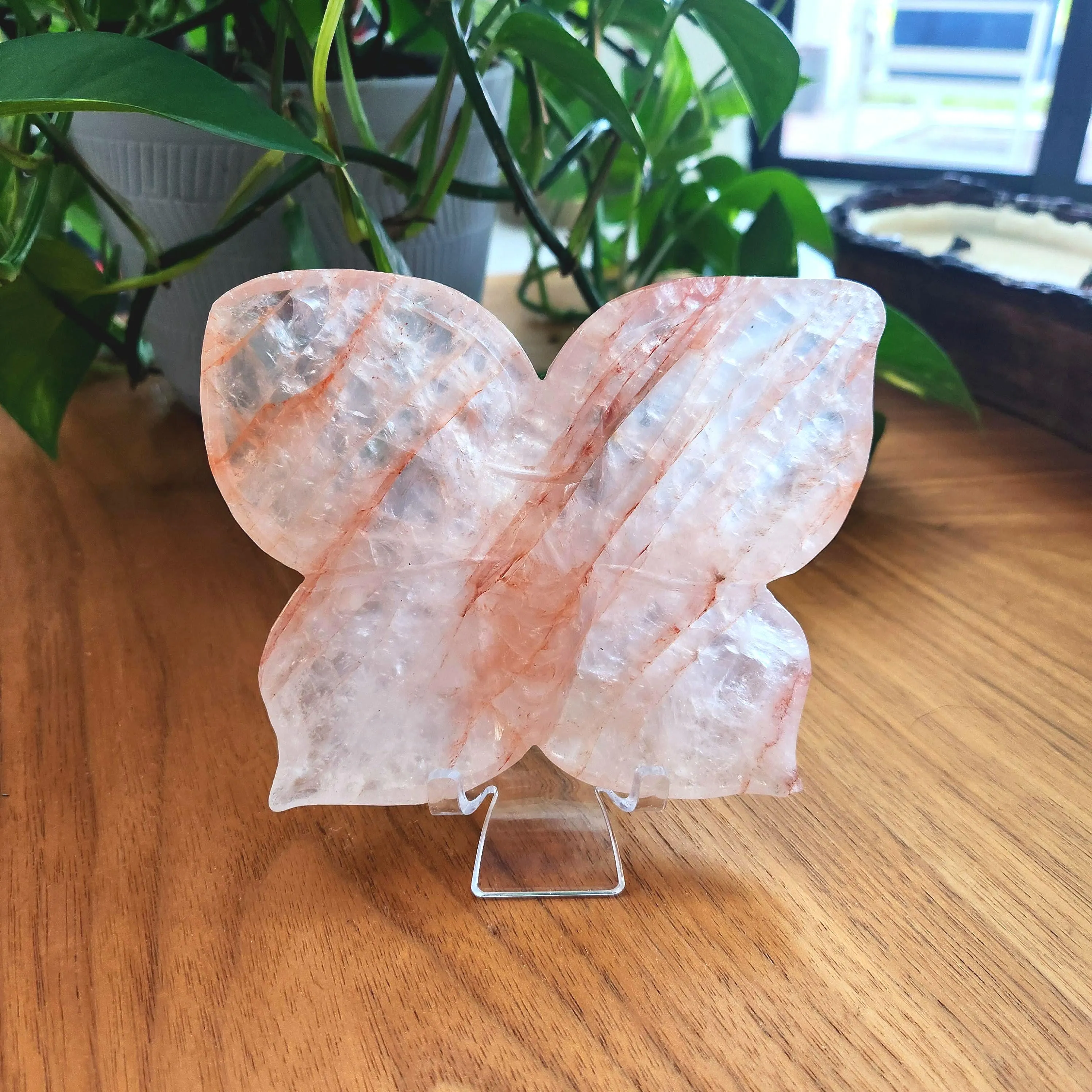 Fire Quartz Butterfly Dish • 5" x 4" Crystal Dish • Red Hematoid Butterfly dish 