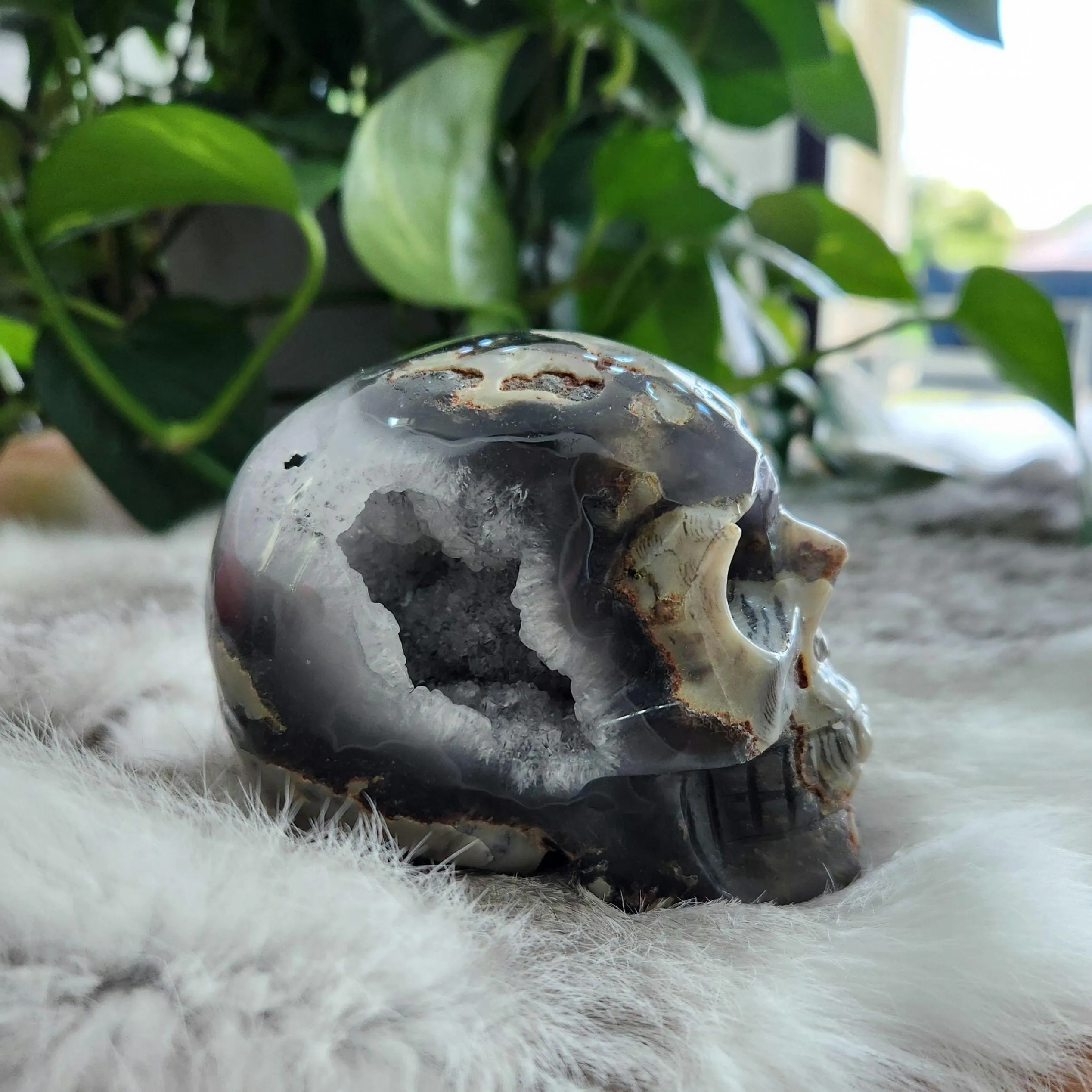 Volcano Agate Skull • UV reactive 3 6" crystal skull head carving • Florescent Luminous Glow Green Crystal Skull 