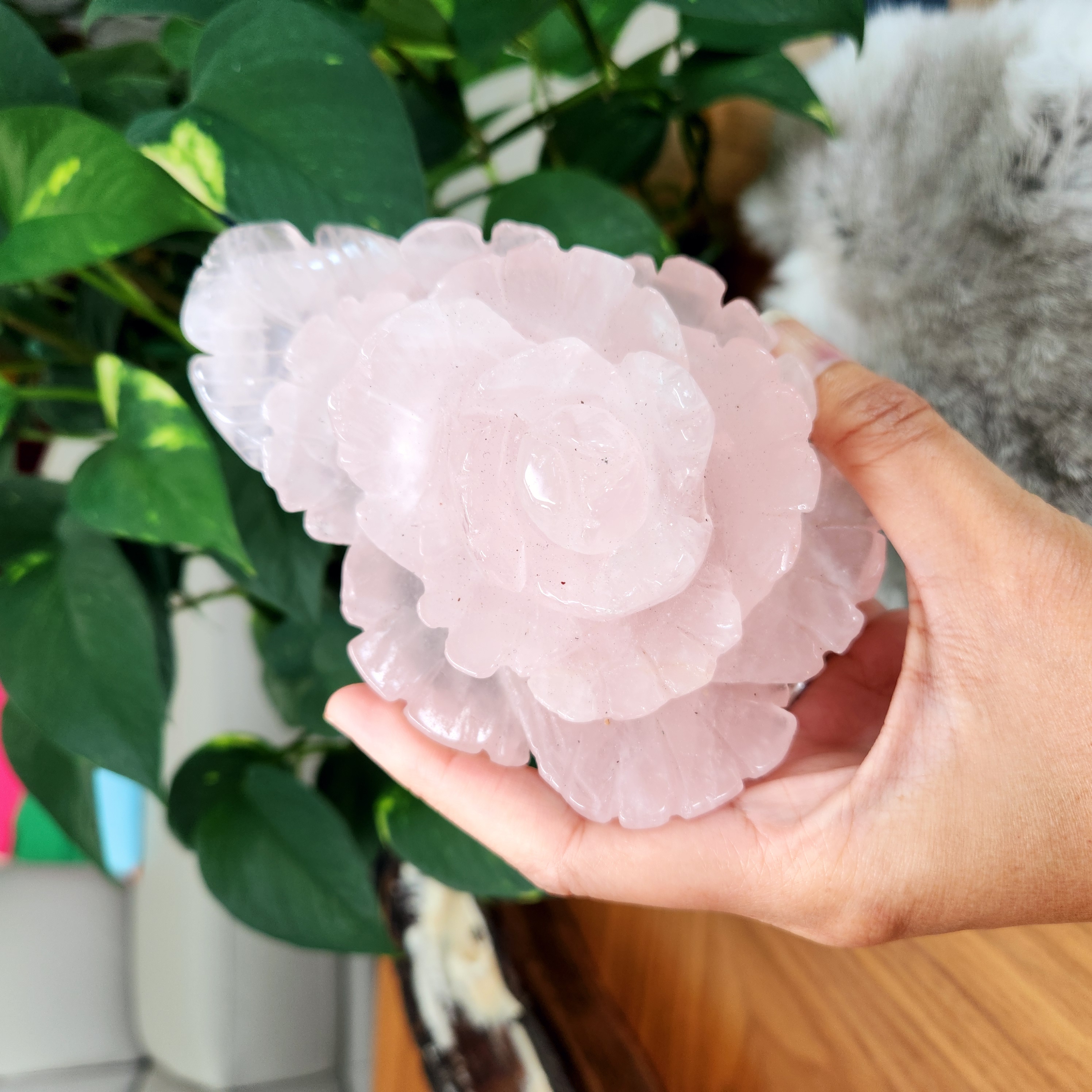 Rose Quartz Rose Flower - Rose Flower Carving • 5.5" Extra Large crystal Rose Flower  