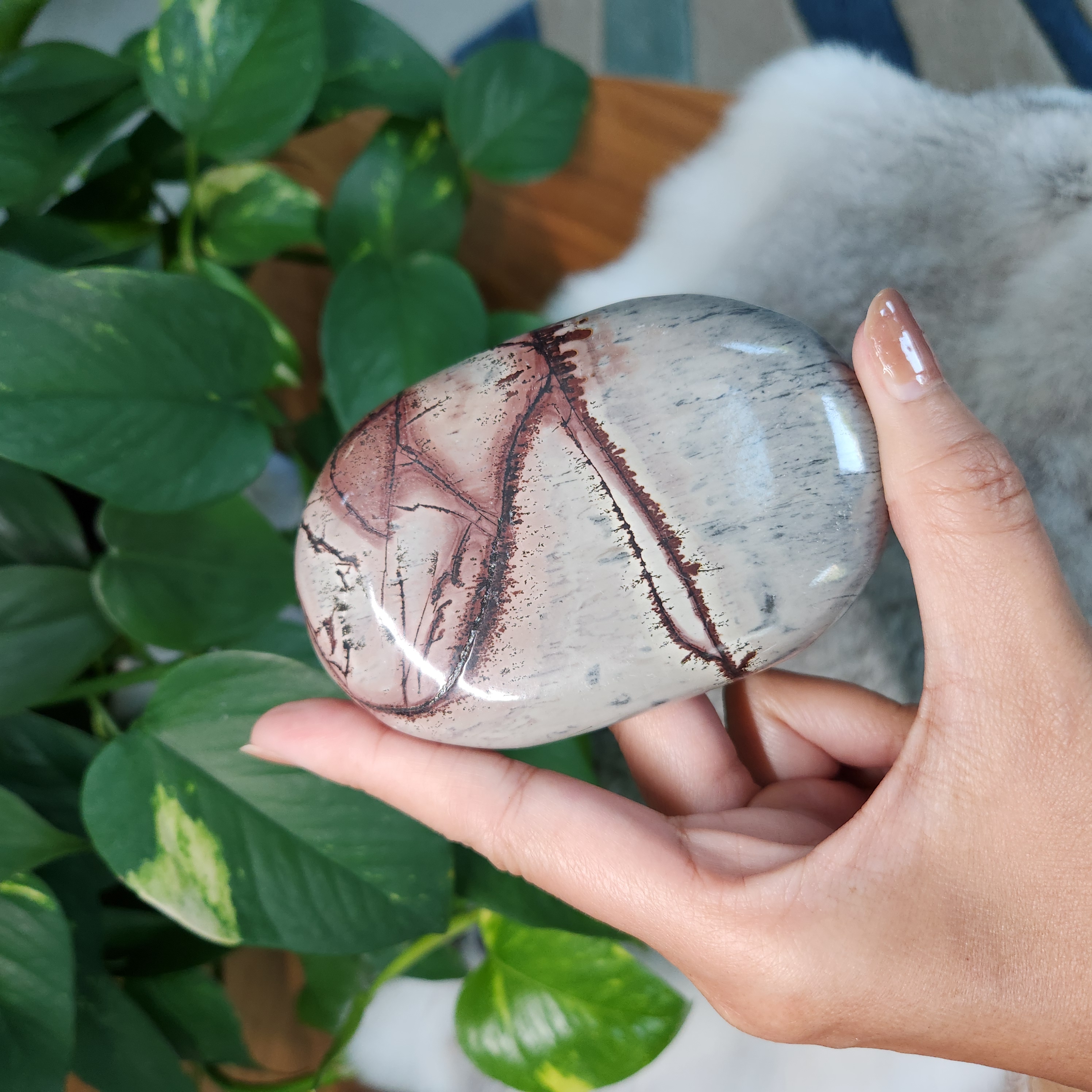 Picture Jasper Palm • Large 3.9" Picture Jasper palmstone • Crystal palm stone gift healing reiki home decoration