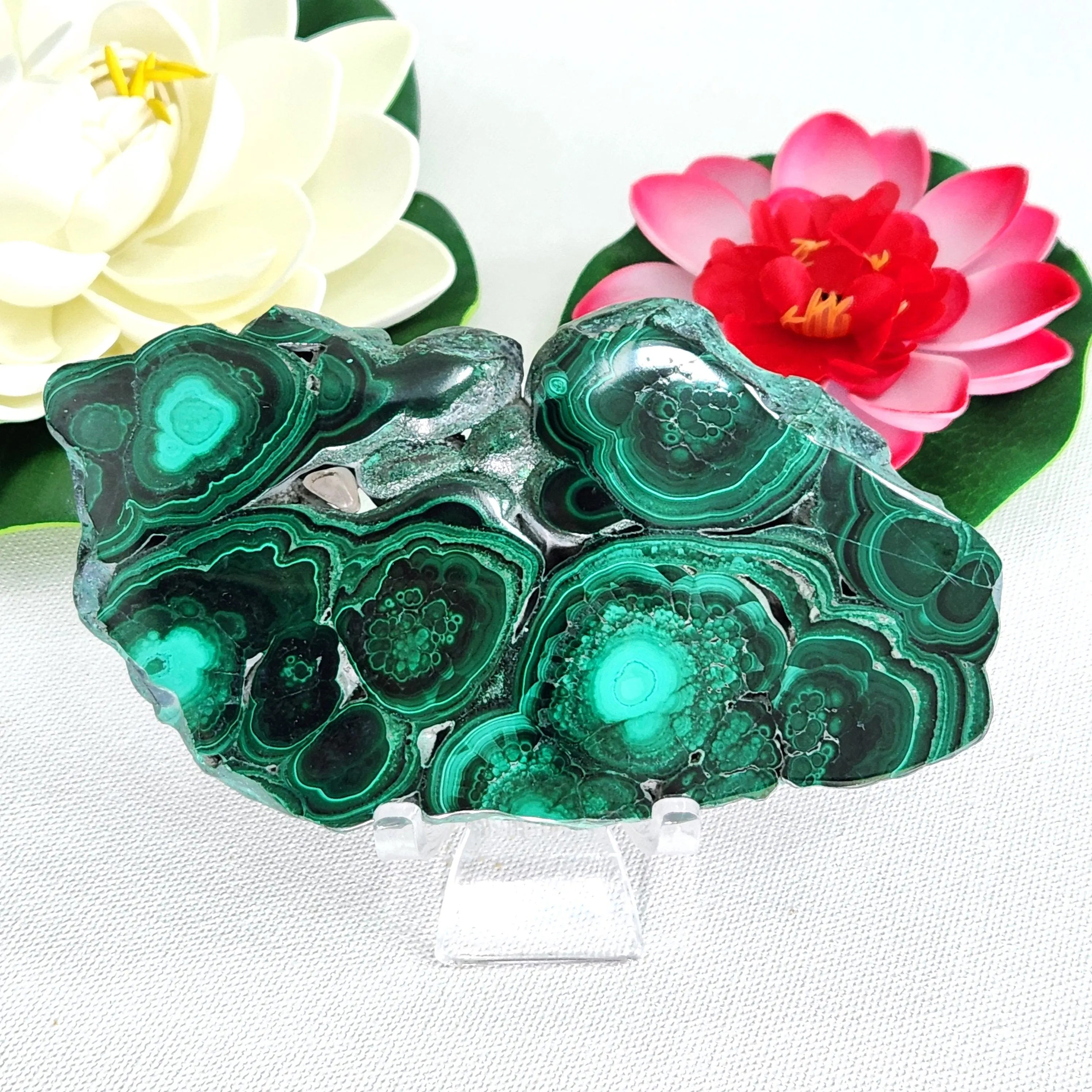 Malachite crystal with eyes on both sides • 5.5" Malachite Slice Freeform Slab • 