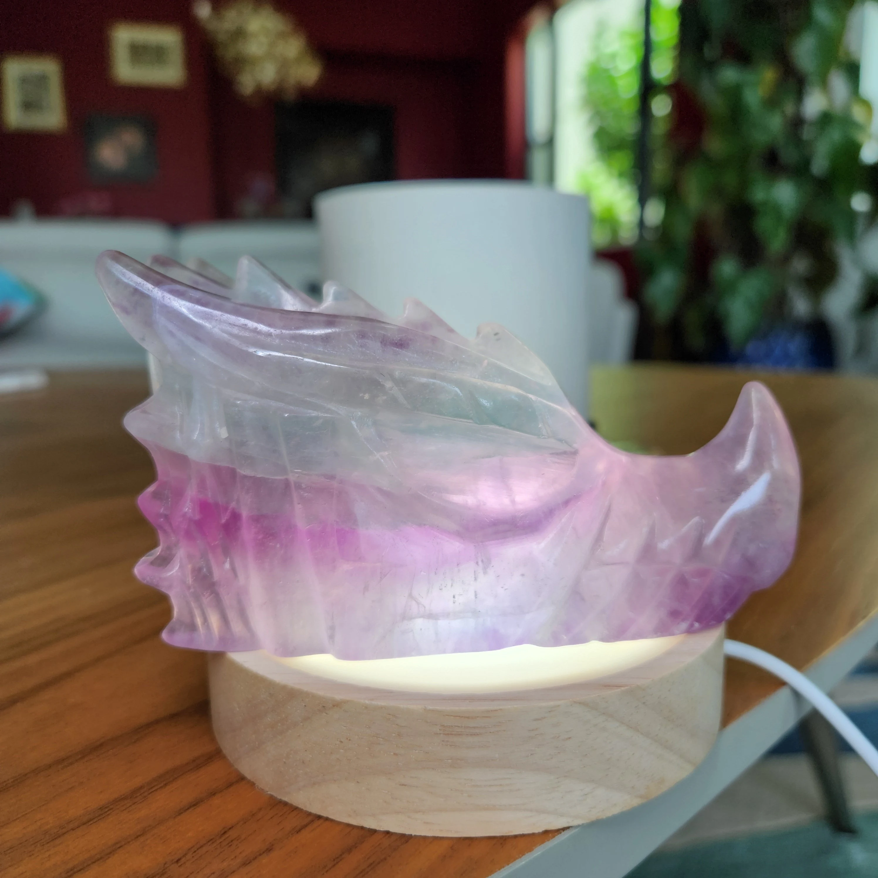 Fluorite Dragonhead • 4.6" Rainbow Fluorite crystal Dragon head skull 