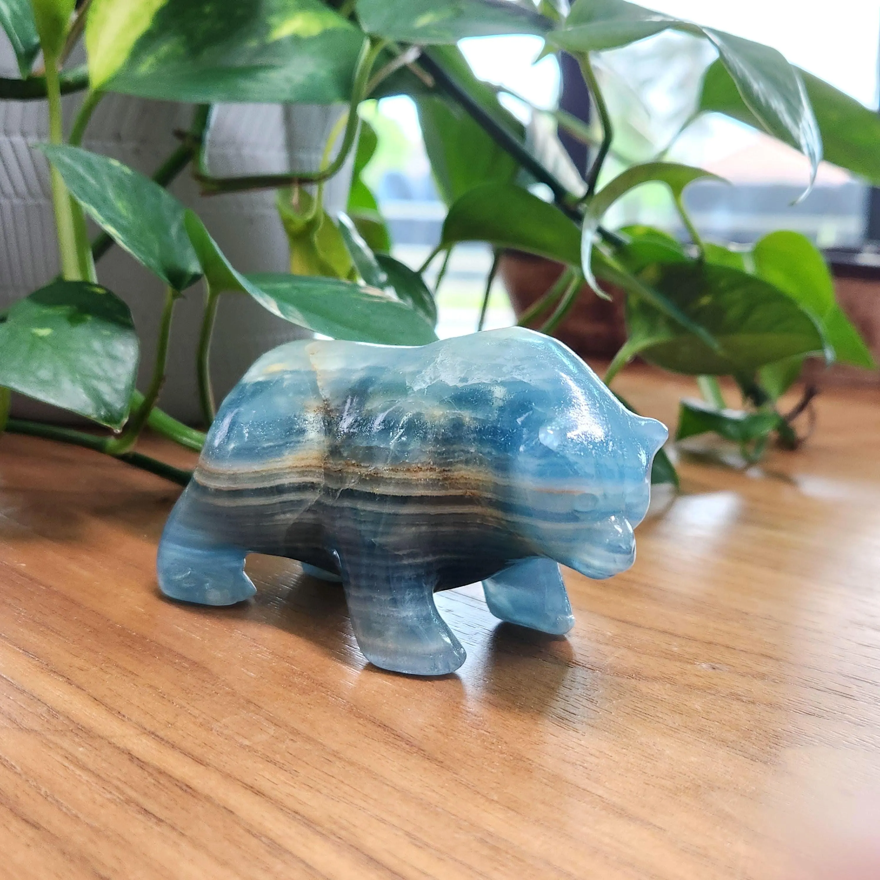 Blue Onyx Bear - 2.4" Blue Lemurian Aquatine Calcite Bear •  Crystal Home Decor Gift