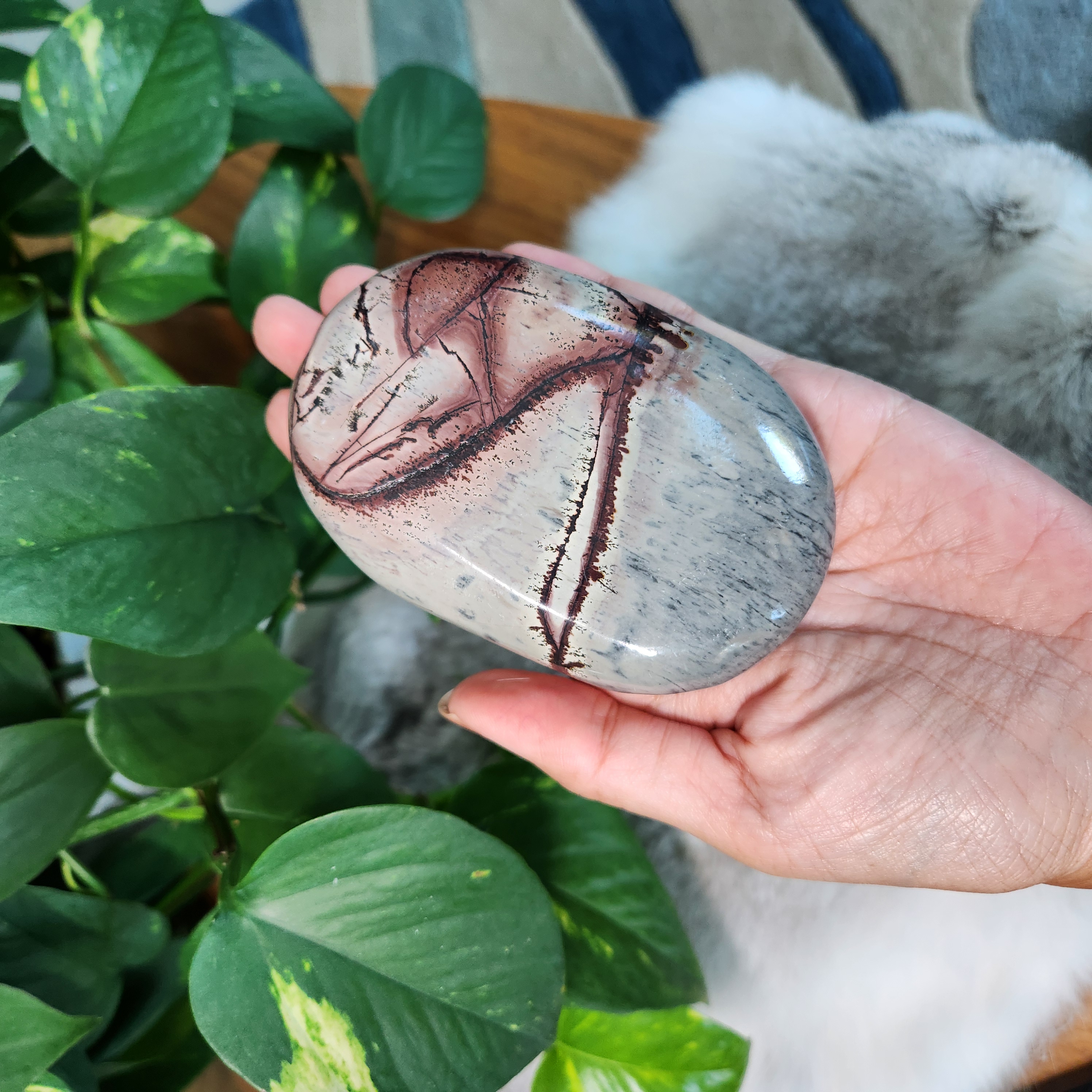 Picture Jasper Palm • Large 3.9" Picture Jasper palmstone • Crystal palm stone gift healing reiki home decoration