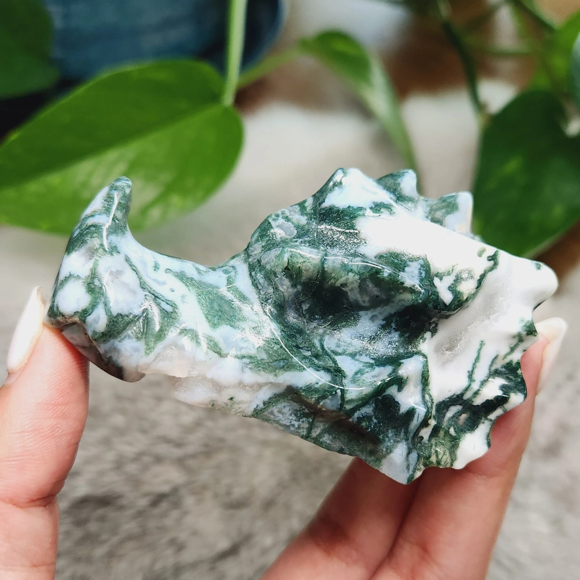 Moss Agate Dragon Head, 3" Moss Agate Dragon Skull Head, Blue Green Sea Moss Dragonhead  