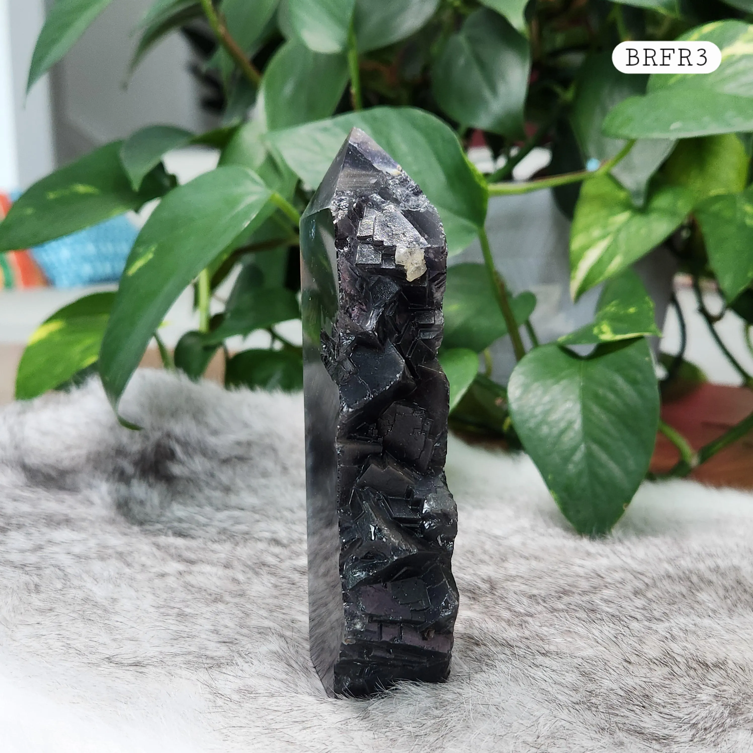 Black Rose Fluorite Point - 5" Black Rose Fluorite crystal point 