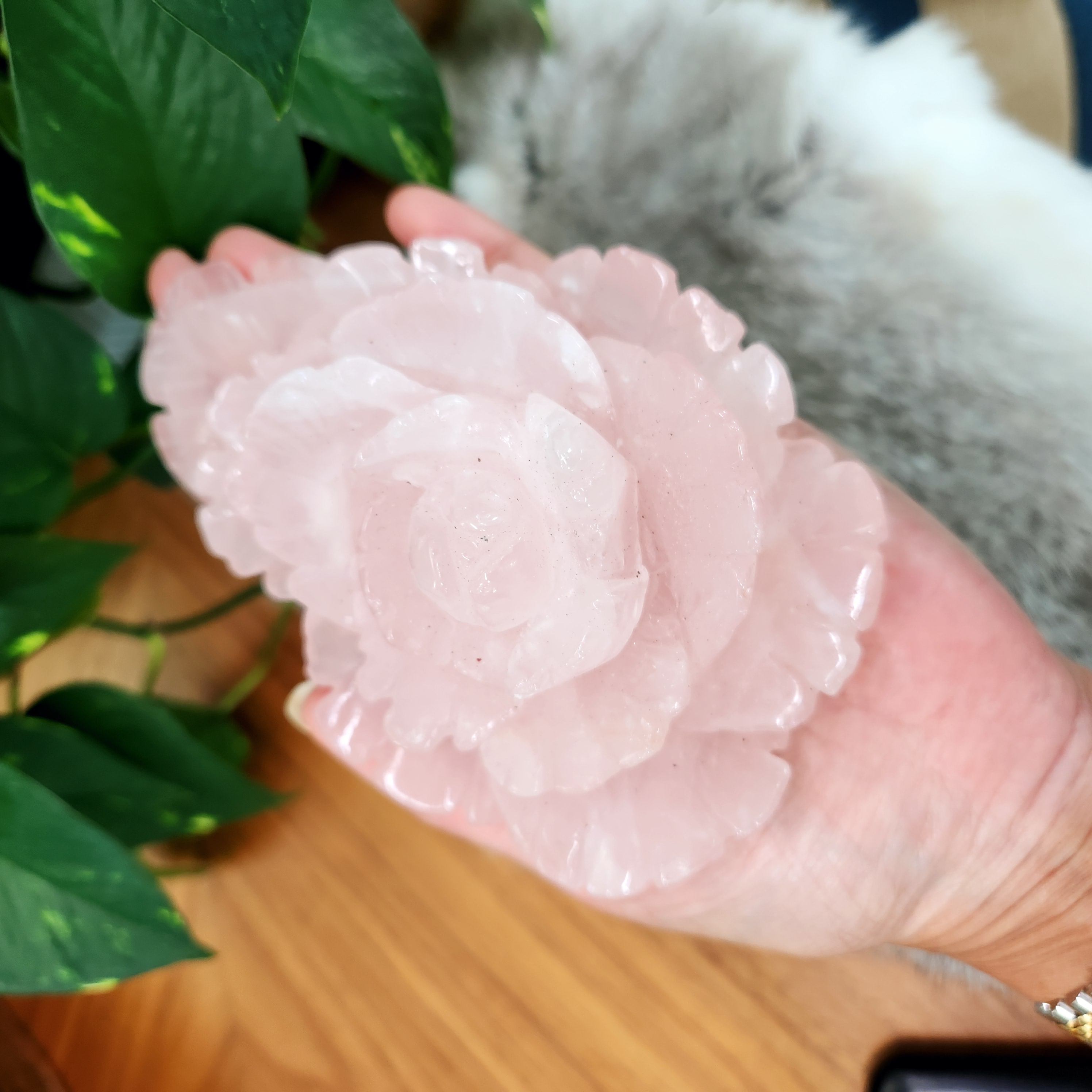 Rose Quartz Rose Flower - Rose Flower Carving • 5.5" Extra Large crystal Rose Flower  