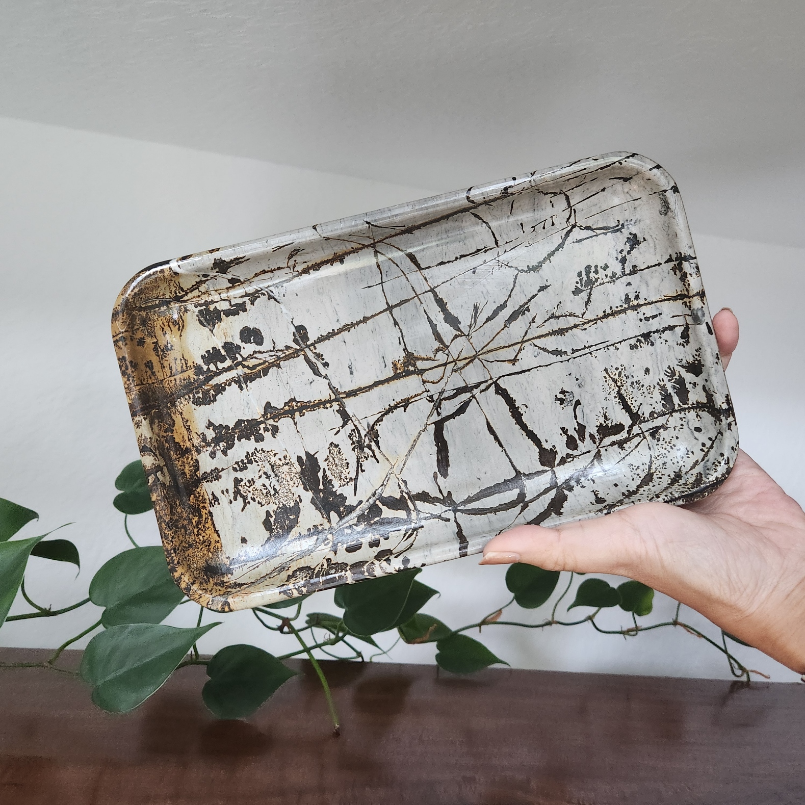 Picture Jasper Plate • 10" Picture stone platter • Crystal holder platter • Crystal gift Home Decoration