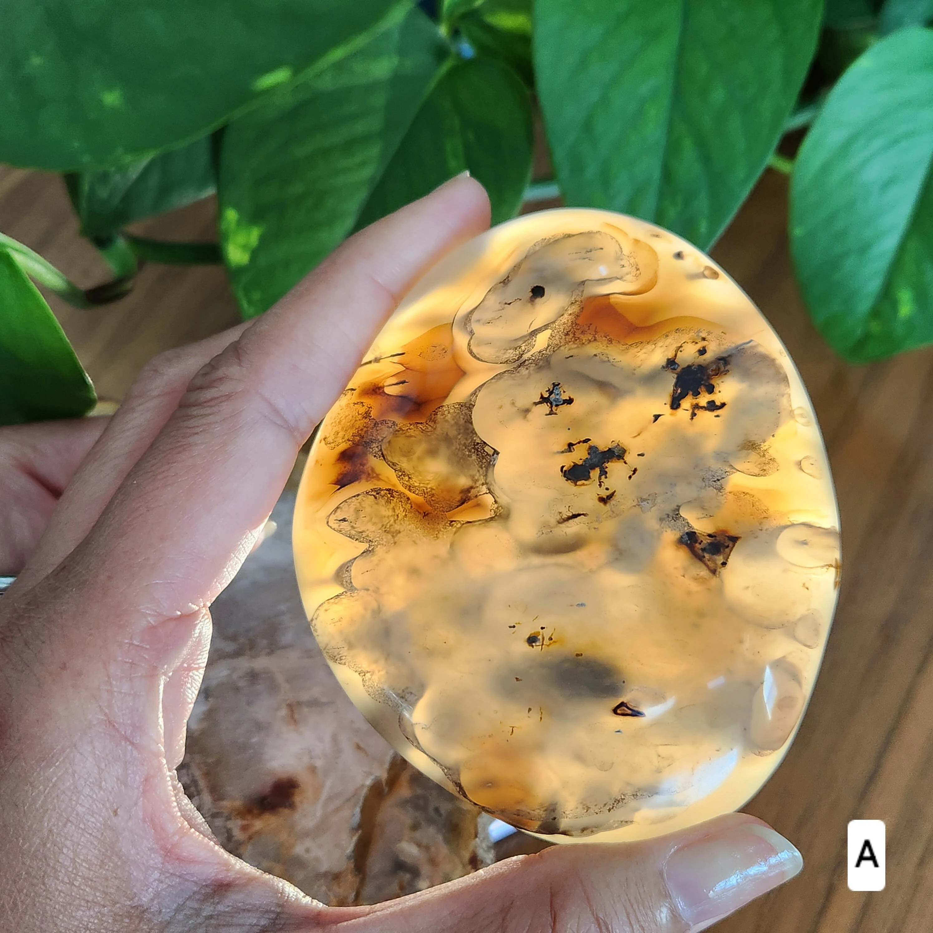 Dendritic agate palm stone • Agate Crystal palmstone - Dendritic palmstone • Heart Chakra Crystal • Stone of Plenitude