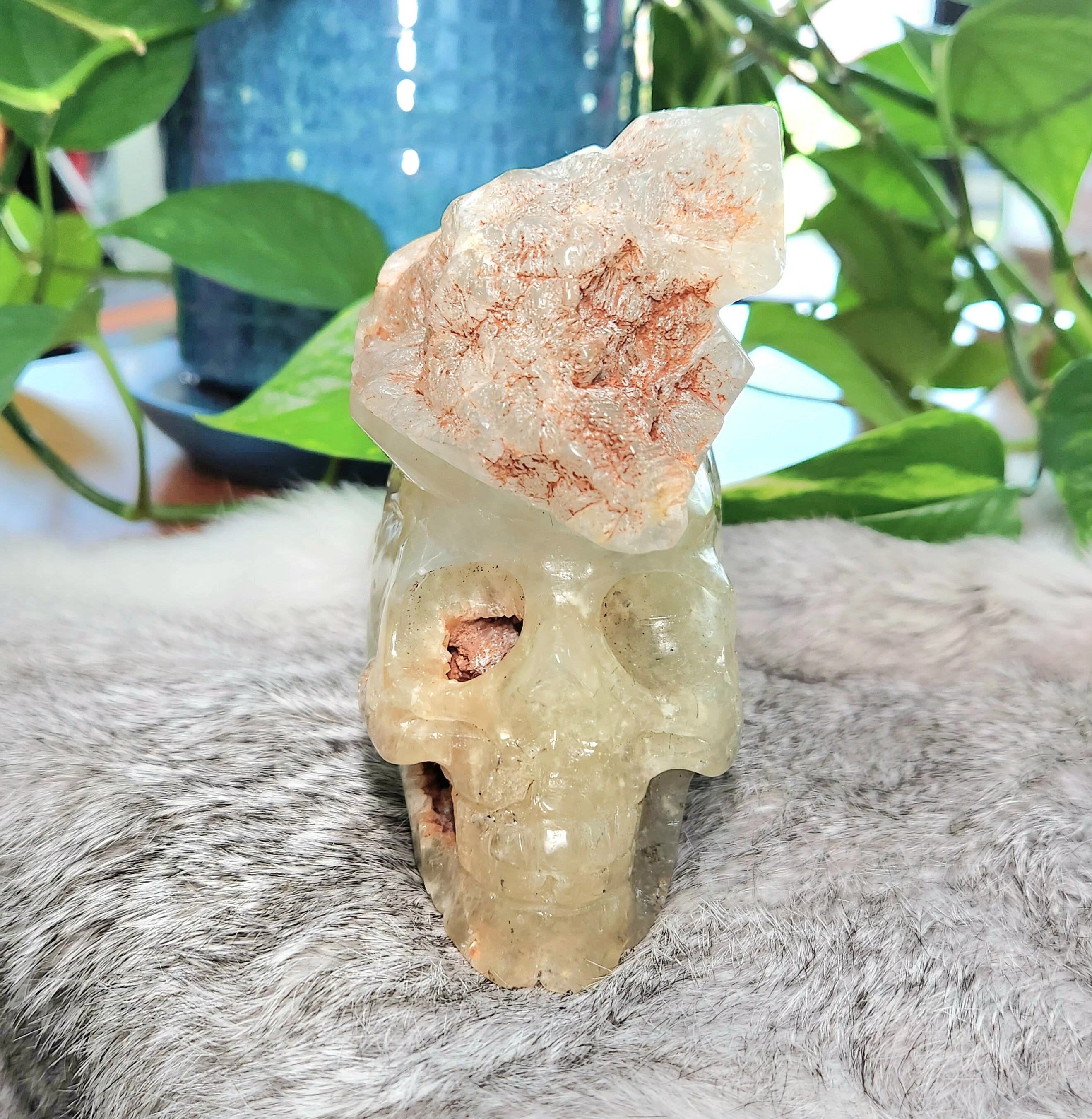 Prehnite skull • 4.5" Unique Rare crystal skull head • Raw cluster crystal skull collection