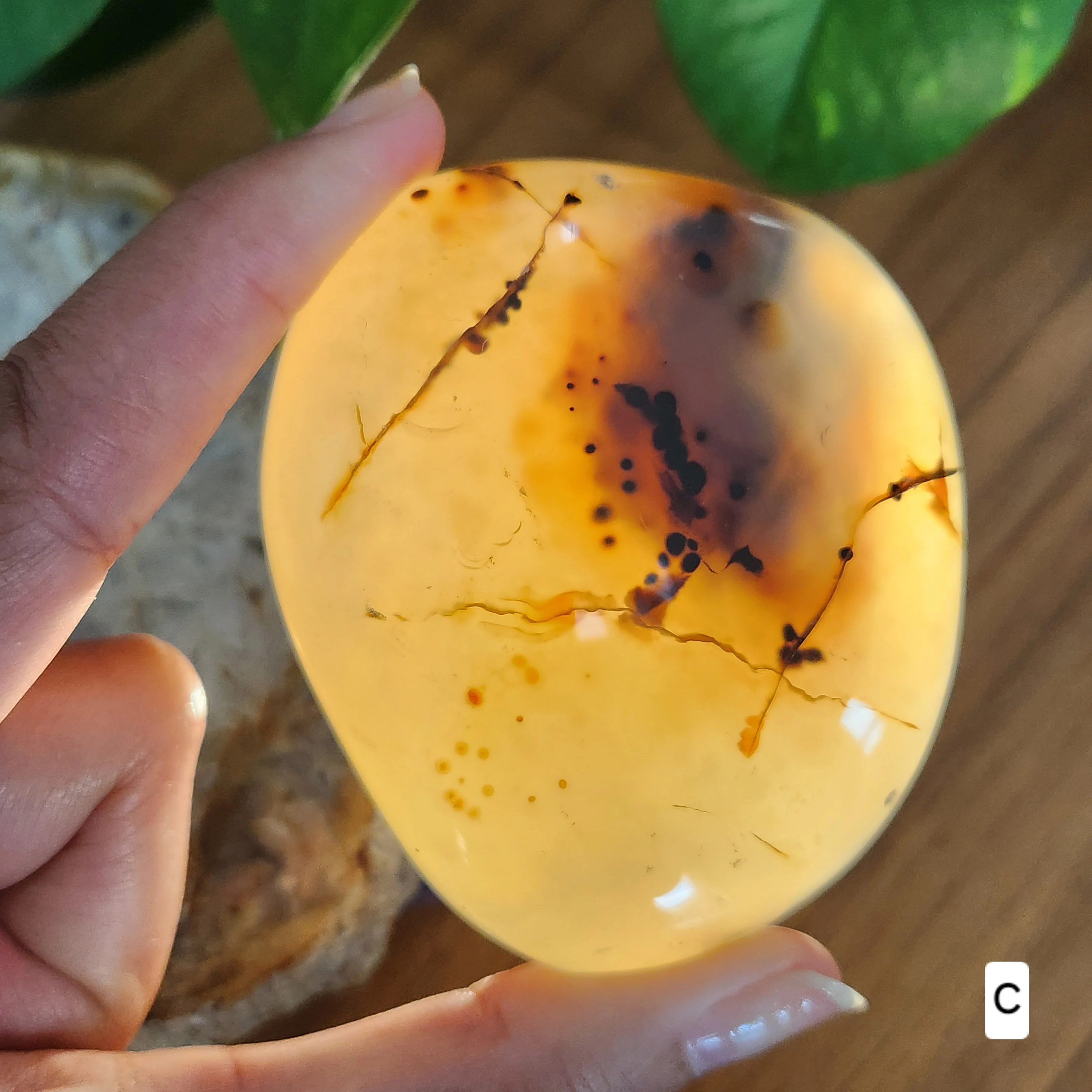 Dendritic agate palm stone • Agate Crystal palmstone - Dendritic palmstone • Heart Chakra Crystal • Stone of  Plenitude