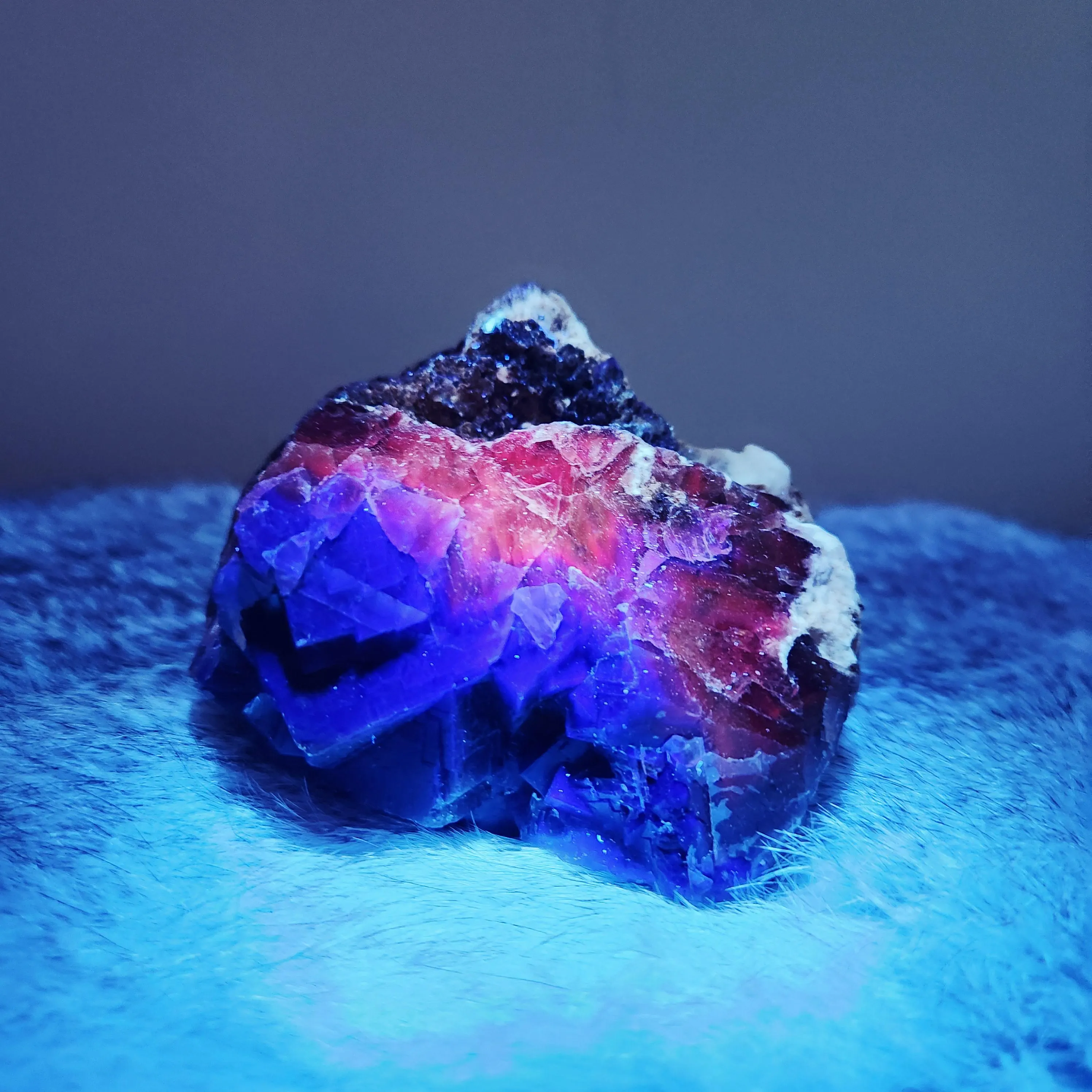 Black Rose Fluorite Cluster Specimen -3.5" strong UV reactive mineral 
