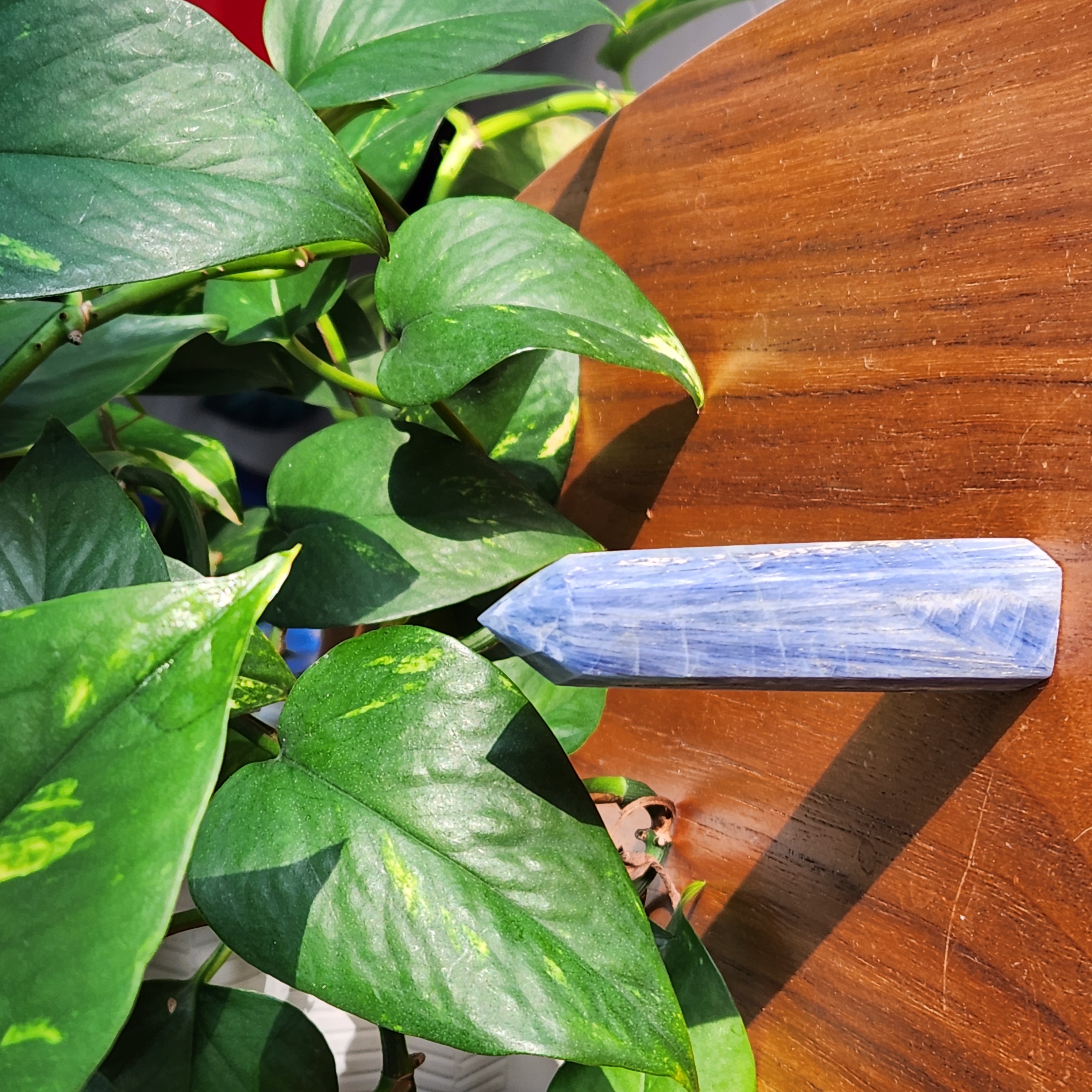 Blue Kyanite Point • 3.4" Polished Kyanite Crystal Point • 