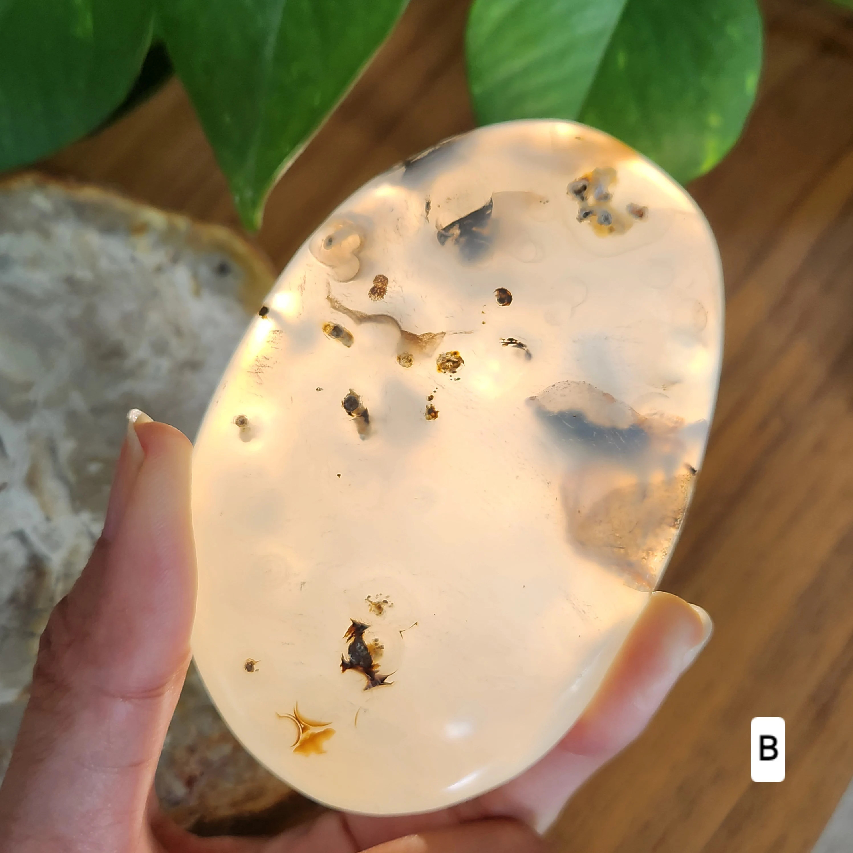 Dendritic agate palm stone • Agate Crystal palmstone - Dendritic palmstone • Heart Chakra Crystal • Stone of  Plenitude