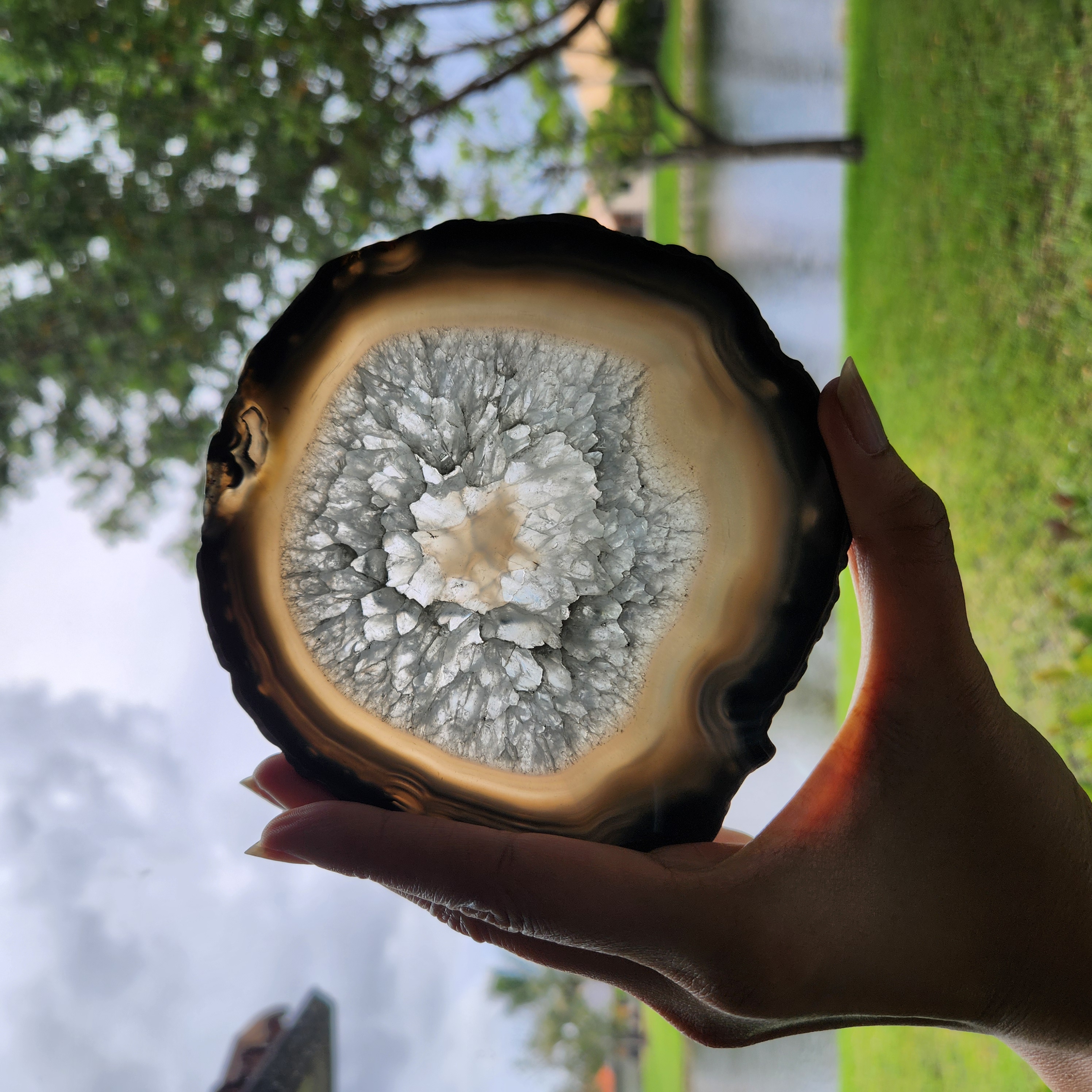 Agate slice • 5" Banded Agate with quartz crystal gemstone slab • 