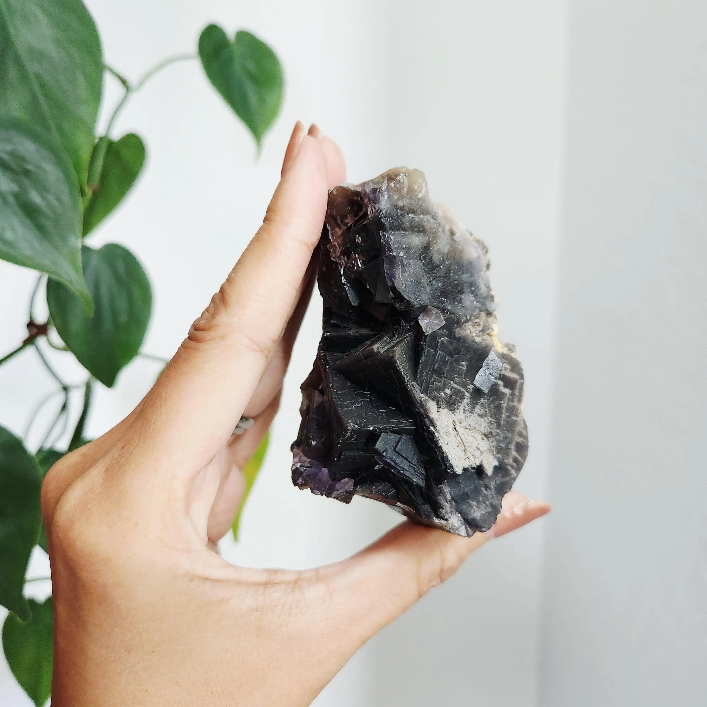 Black Rose Fluorite Cluster Specimen -3.5" strong UV reactive mineral 