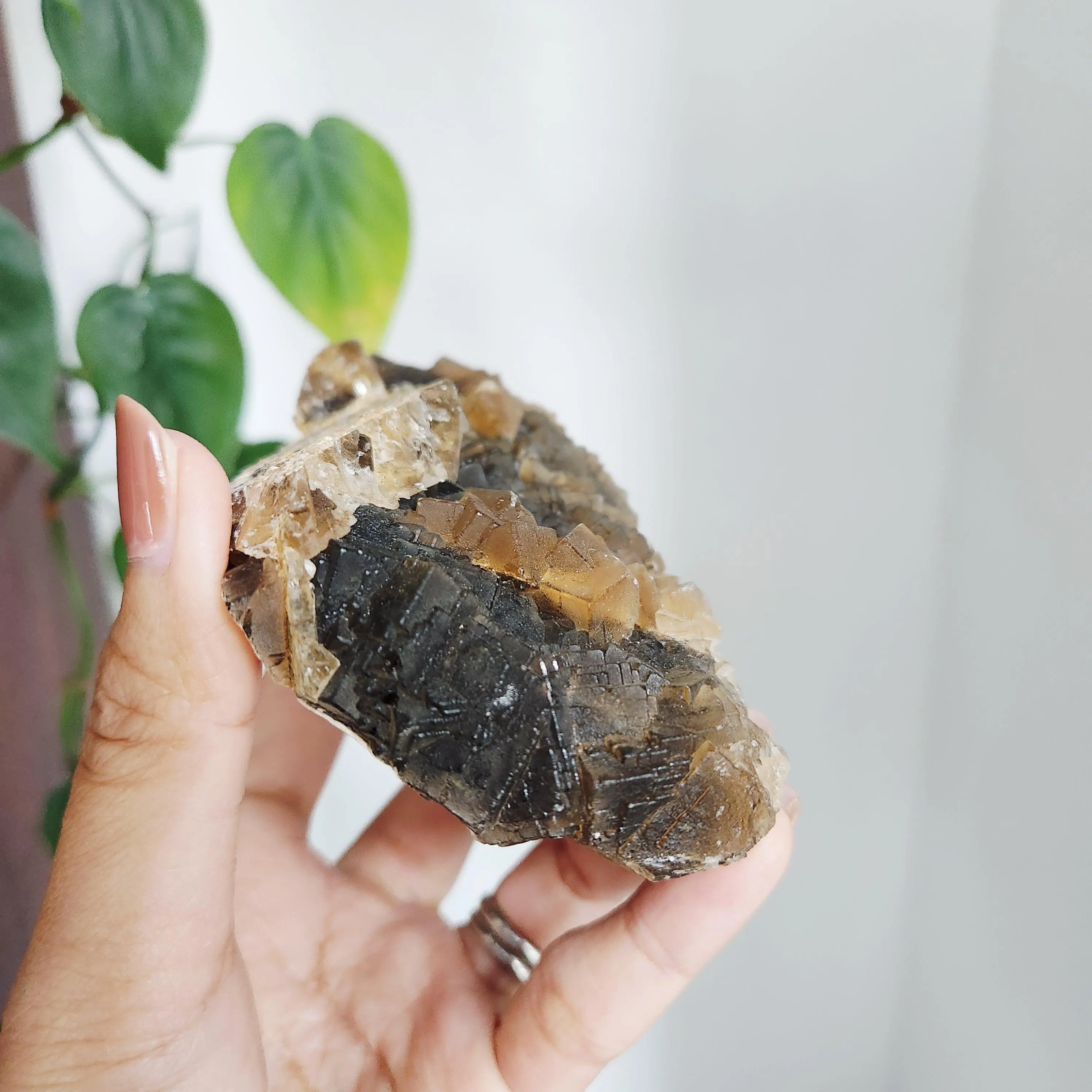 Black Rose Fluorite Cluster Specimen - 5" deep red UV reactive mineral - Black Rose Fluorite Cubic Cluster