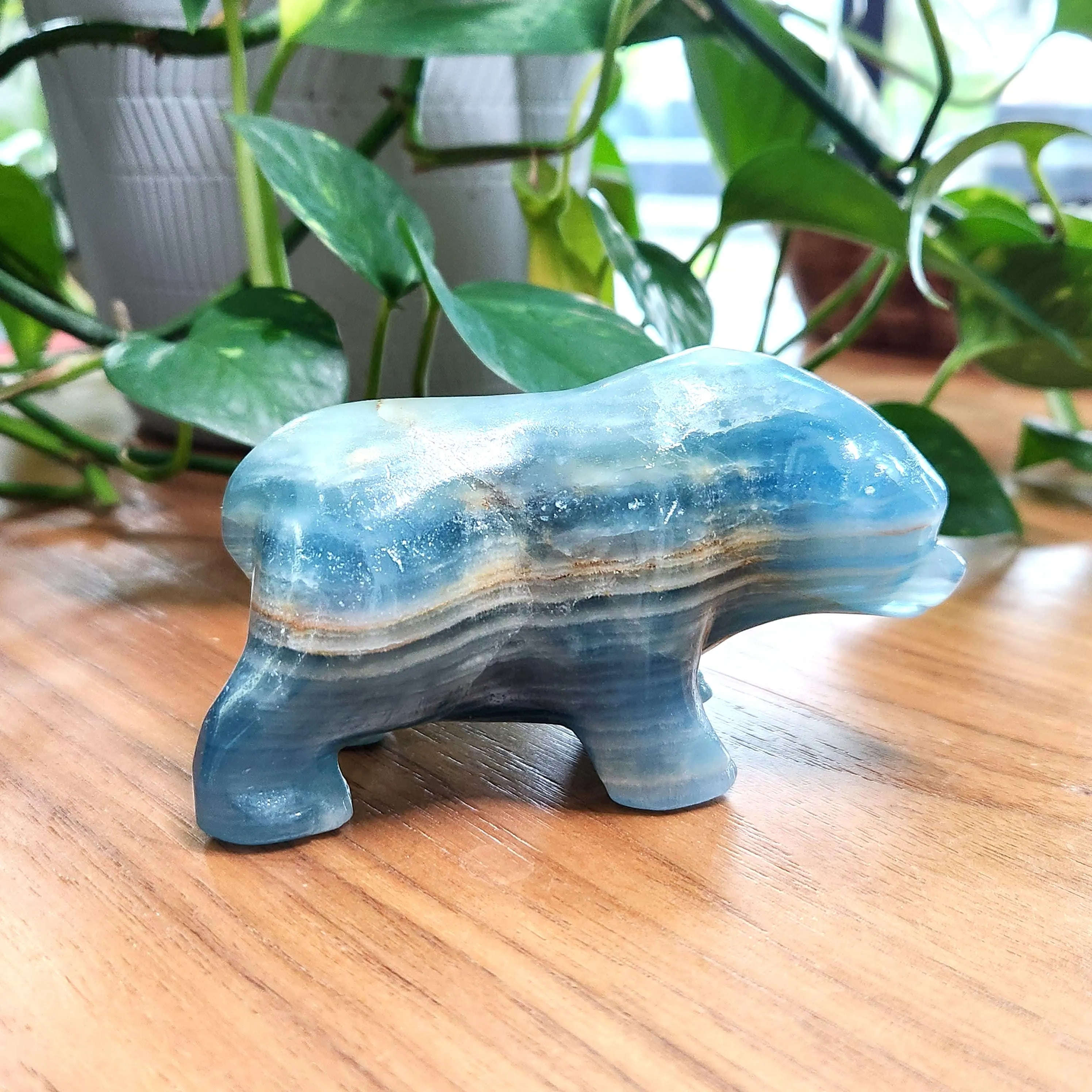 Blue Onyx Bear - 2.4" Blue Lemurian Aquatine Calcite Bear •  Crystal Home Decor Gift