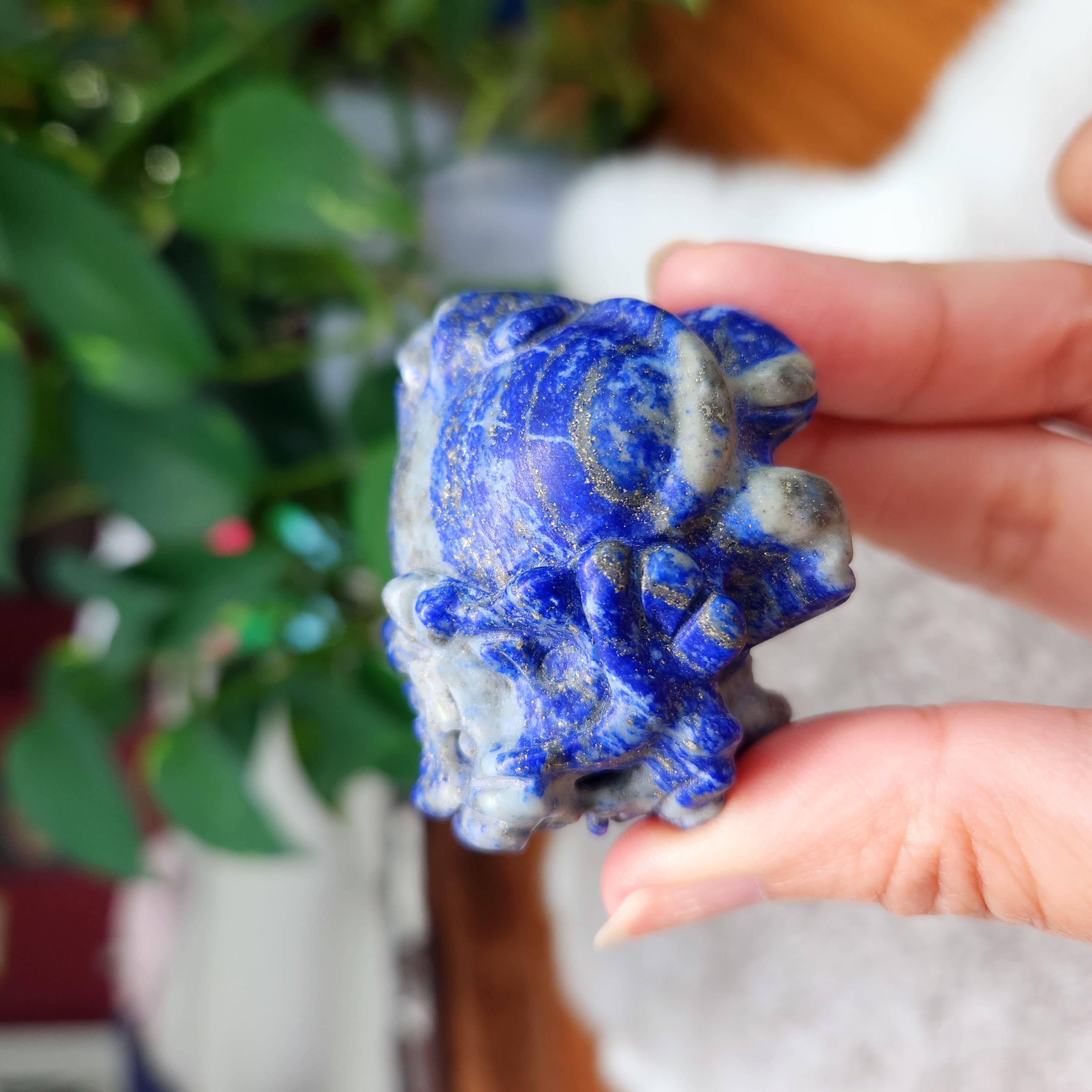 Lapis Lazuli Dragon turtle • Abundance Dragon Turtle crystal carving • Crystal Dragon Turtle Gift home decoration