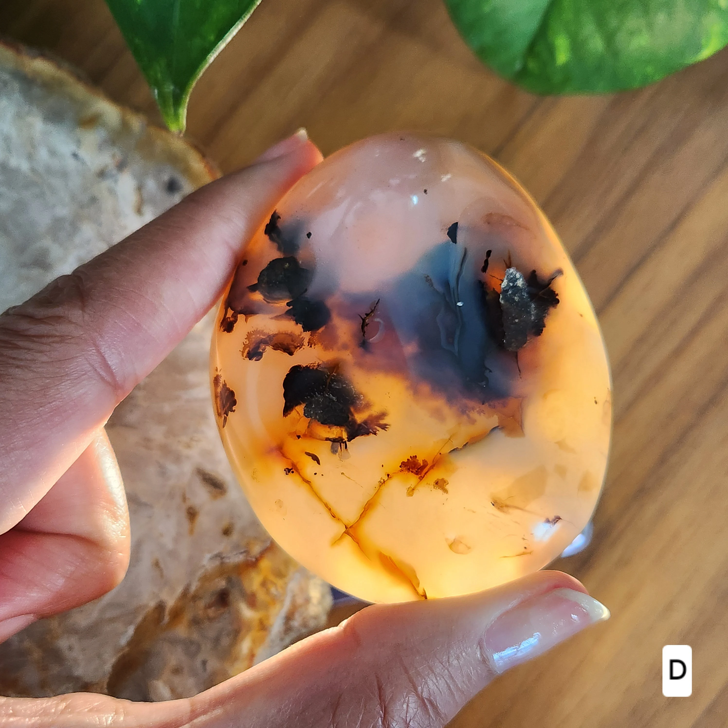 Dendritic agate palm stone • Agate Crystal palmstone - Dendritic palmstone • Heart Chakra Crystal • Stone of  Plenitude