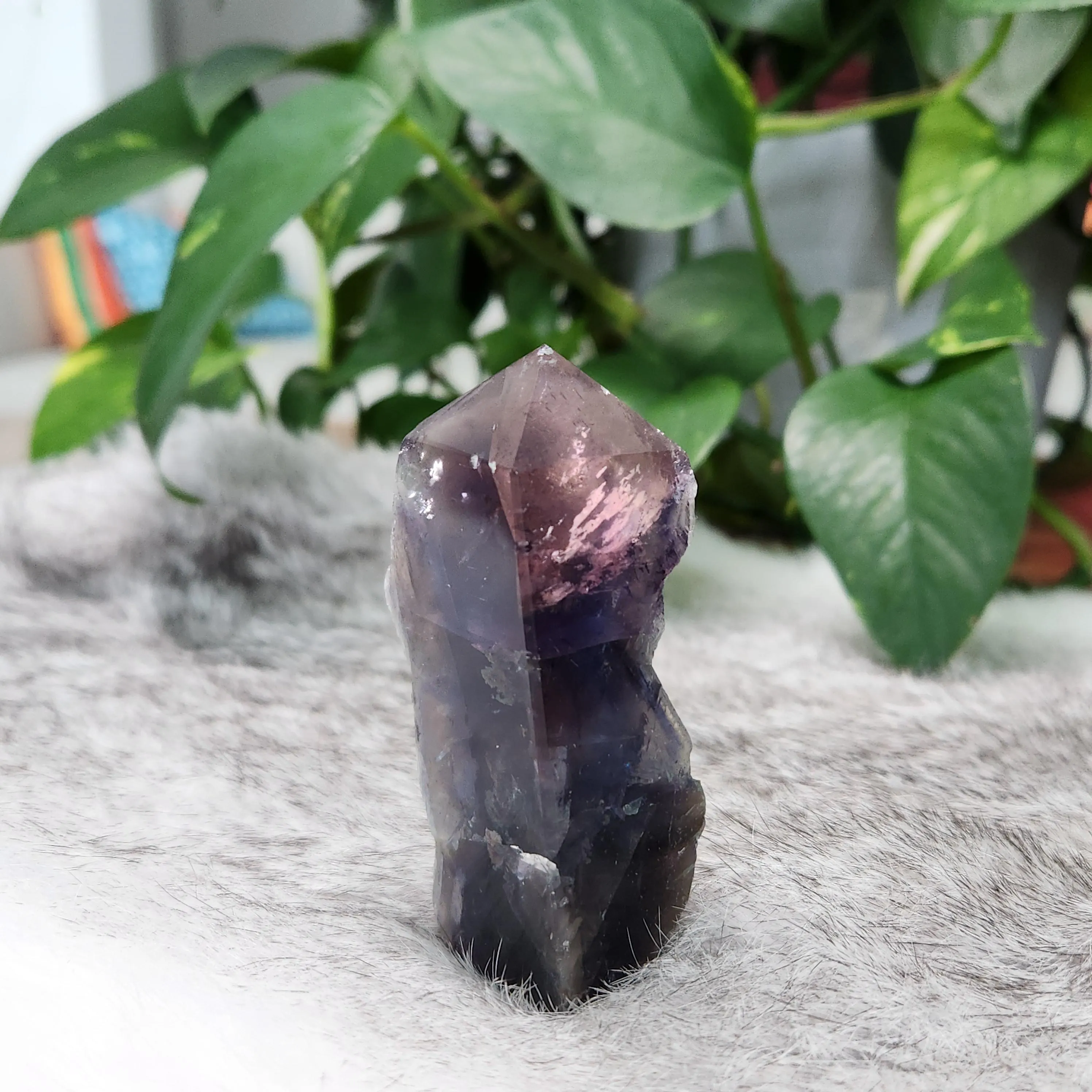 Black Rose Fluorite Point - 3" Black Rose Fluorite crystal point  