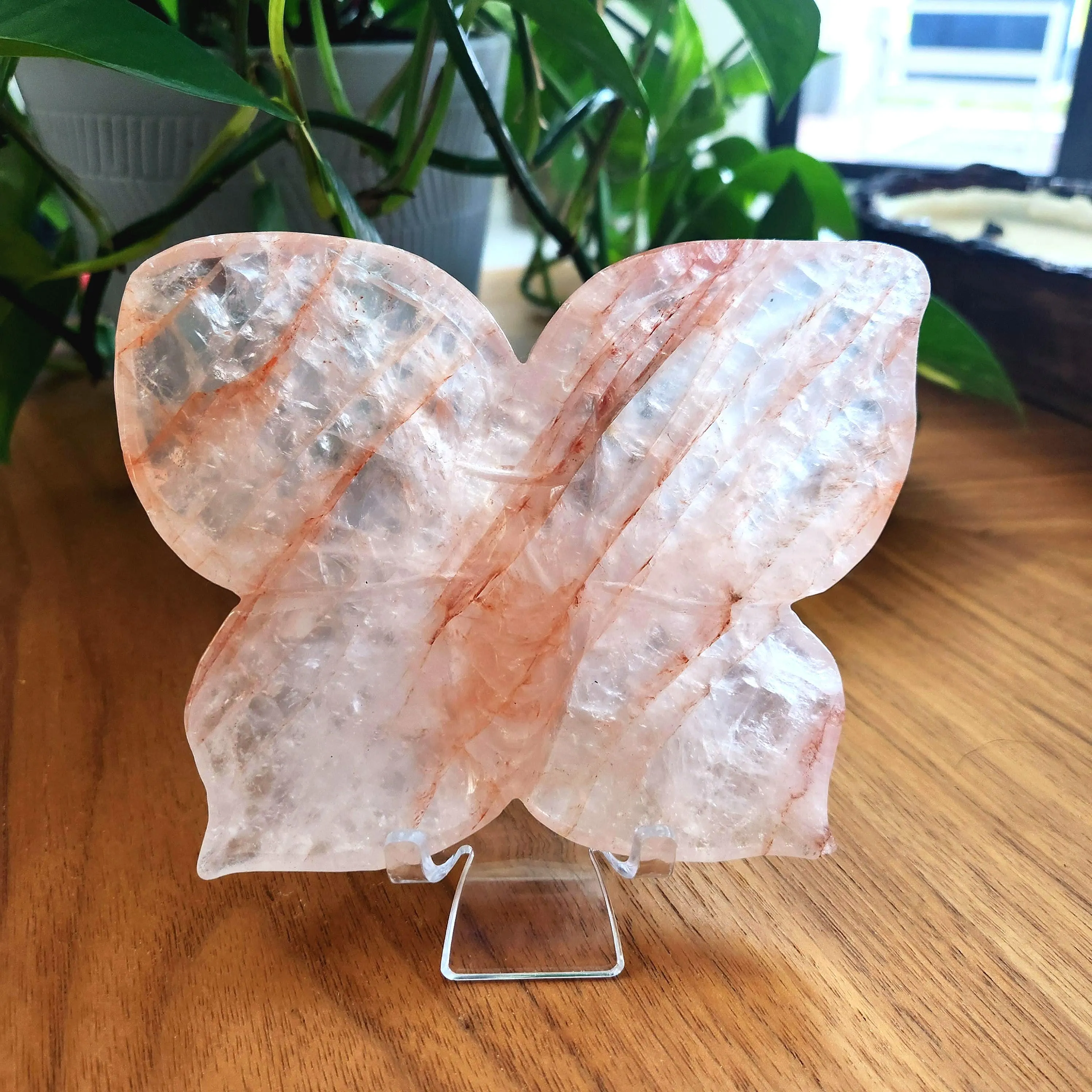 Fire Quartz Butterfly Dish • 5" x 4" Crystal Dish • Red Hematoid Butterfly dish