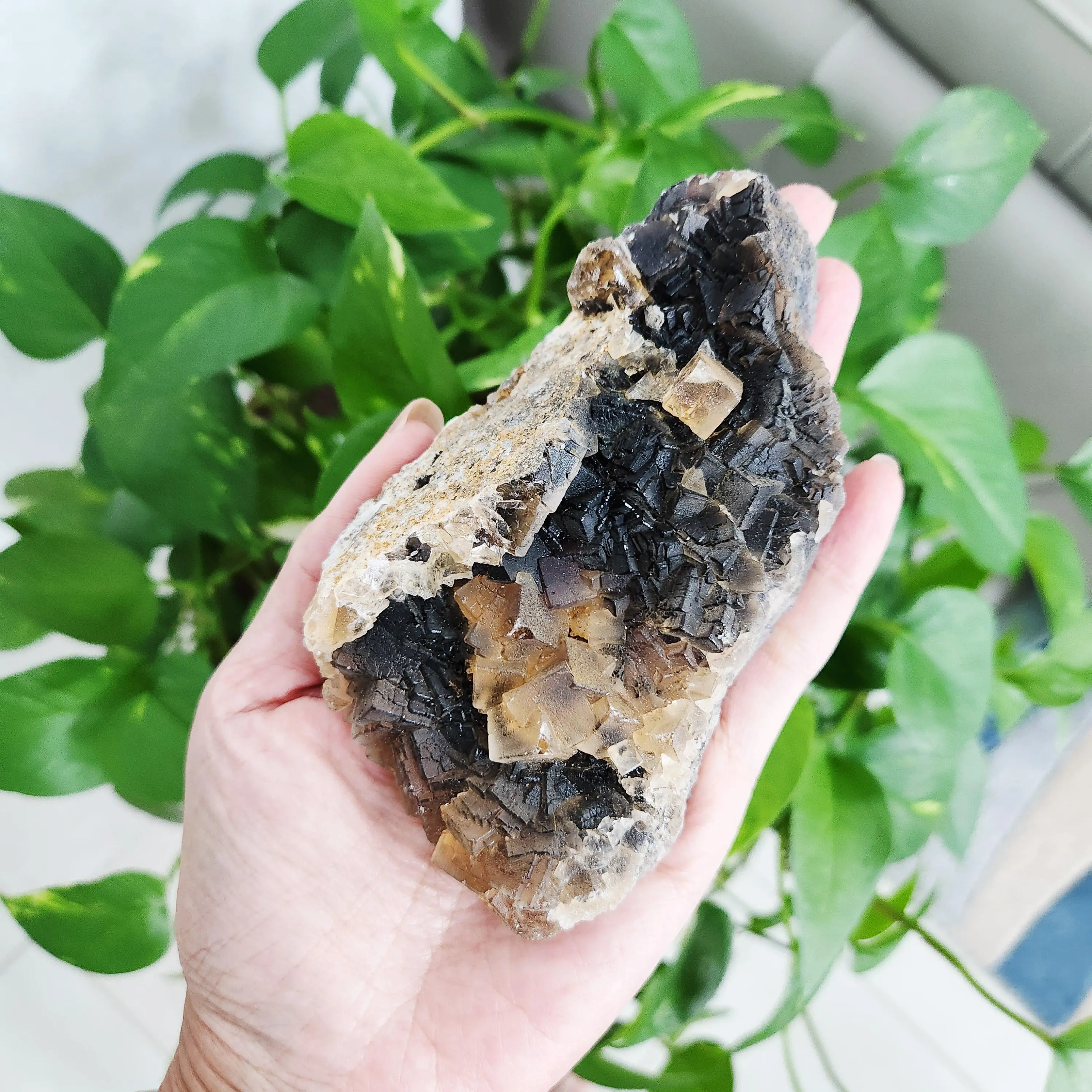 Black Rose Fluorite Cluster Specimen - 5" deep red UV reactive mineral - Black Rose Fluorite Cubic Cluster