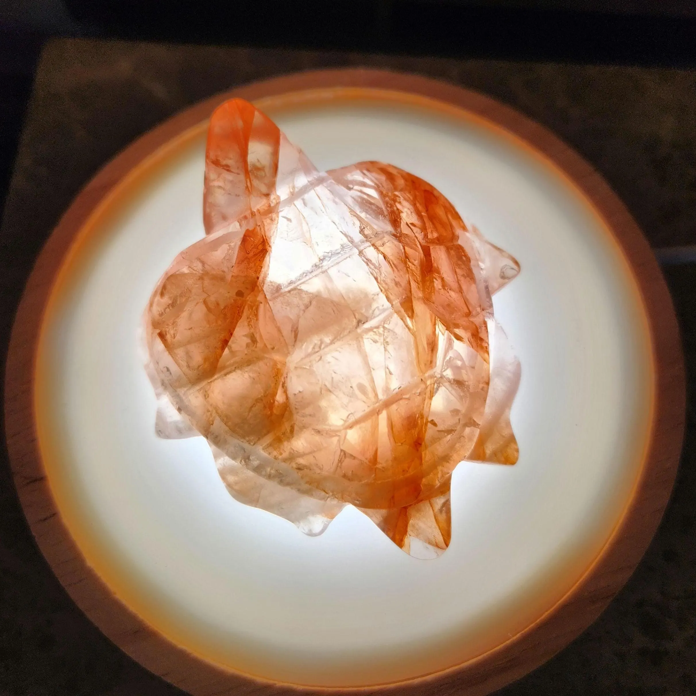 Fire Quartz Turtle • Pink Opal turtle • Red Hematoid Turtle • Golden Healer turtle 