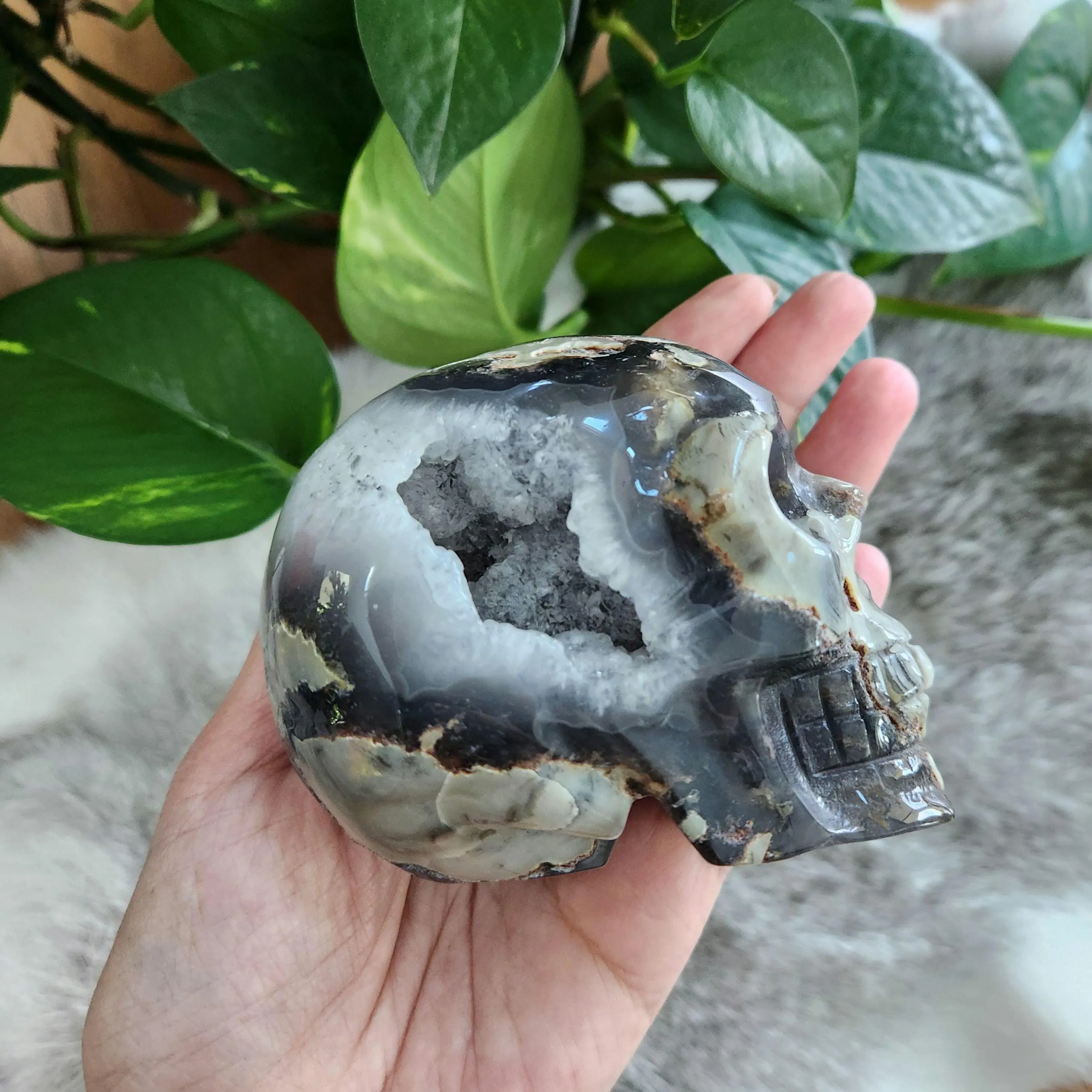 Volcano Agate Skull • UV reactive 3 6" crystal skull head carving • Florescent Luminous Glow Green Crystal Skull 