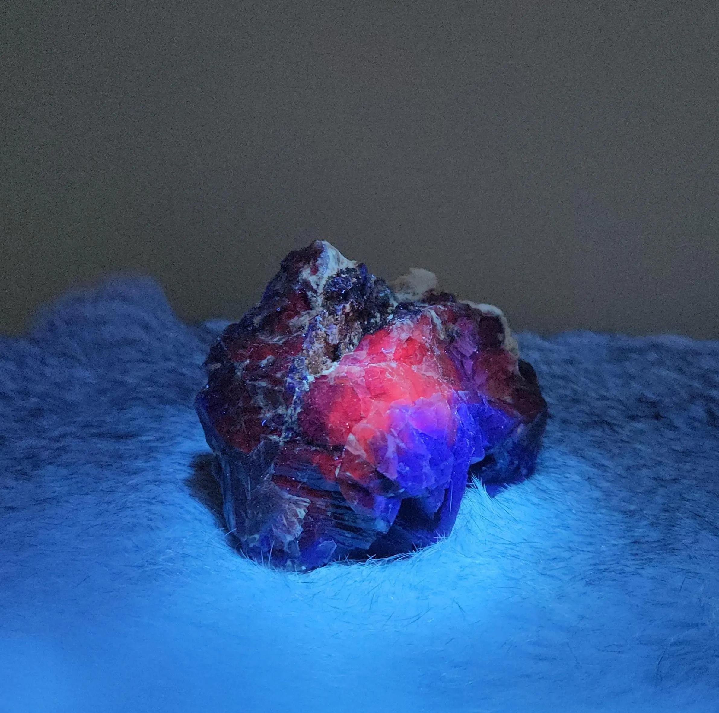 Black Rose Fluorite Cluster Specimen -3.5" strong UV reactive mineral 
