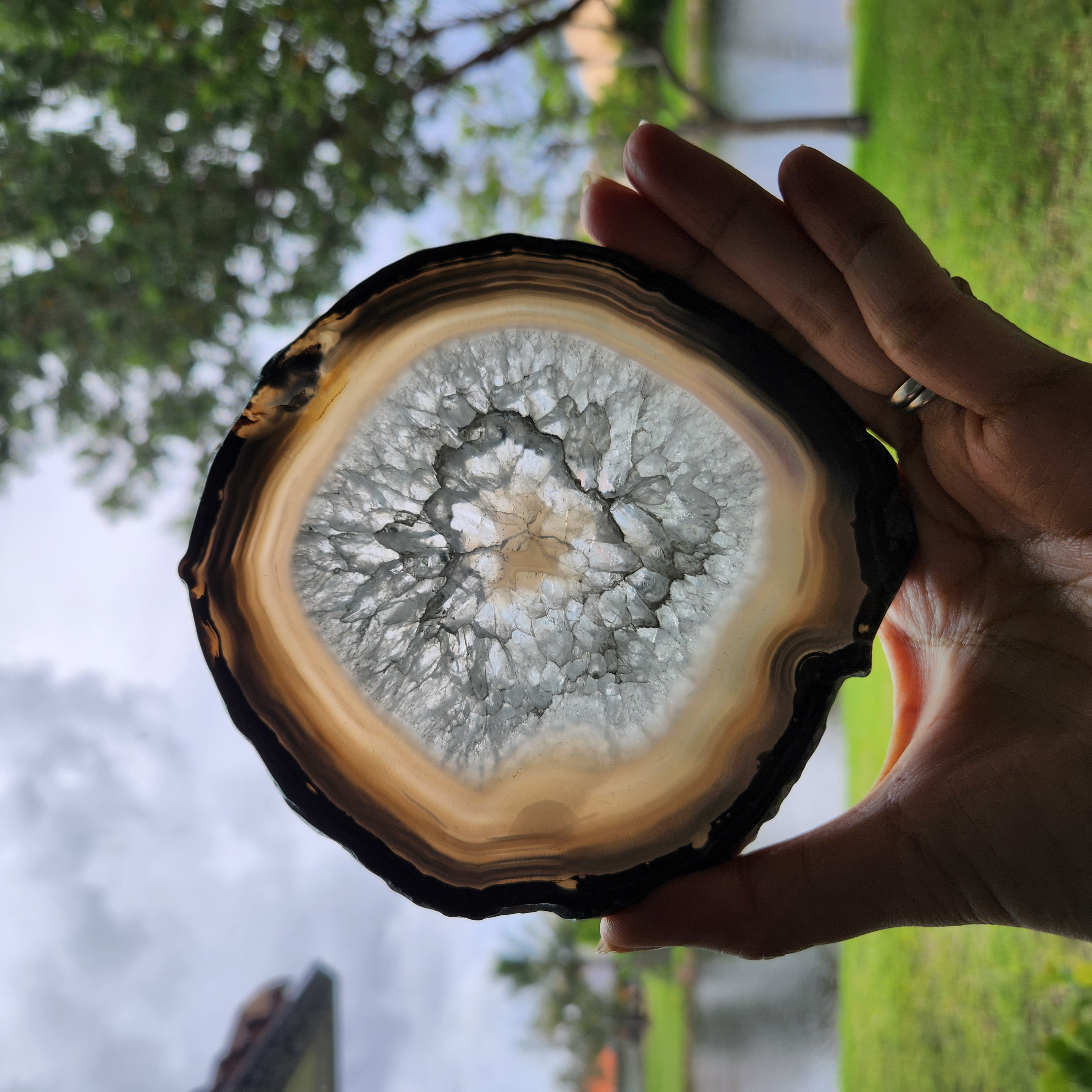 Agate slice • 5" Banded Agate with quartz crystal gemstone slab • 