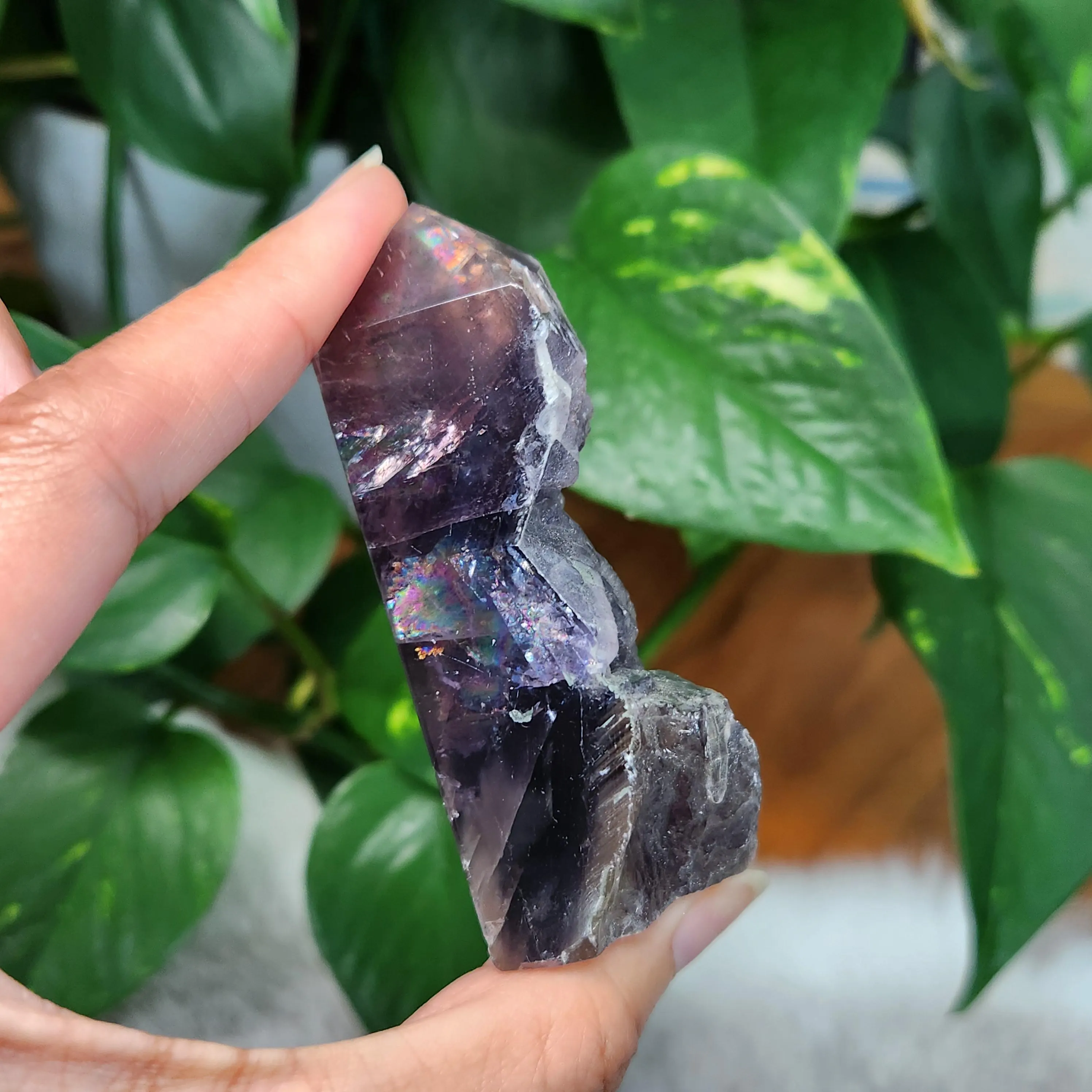 Black Rose Fluorite Point - 3" Black Rose Fluorite crystal point  