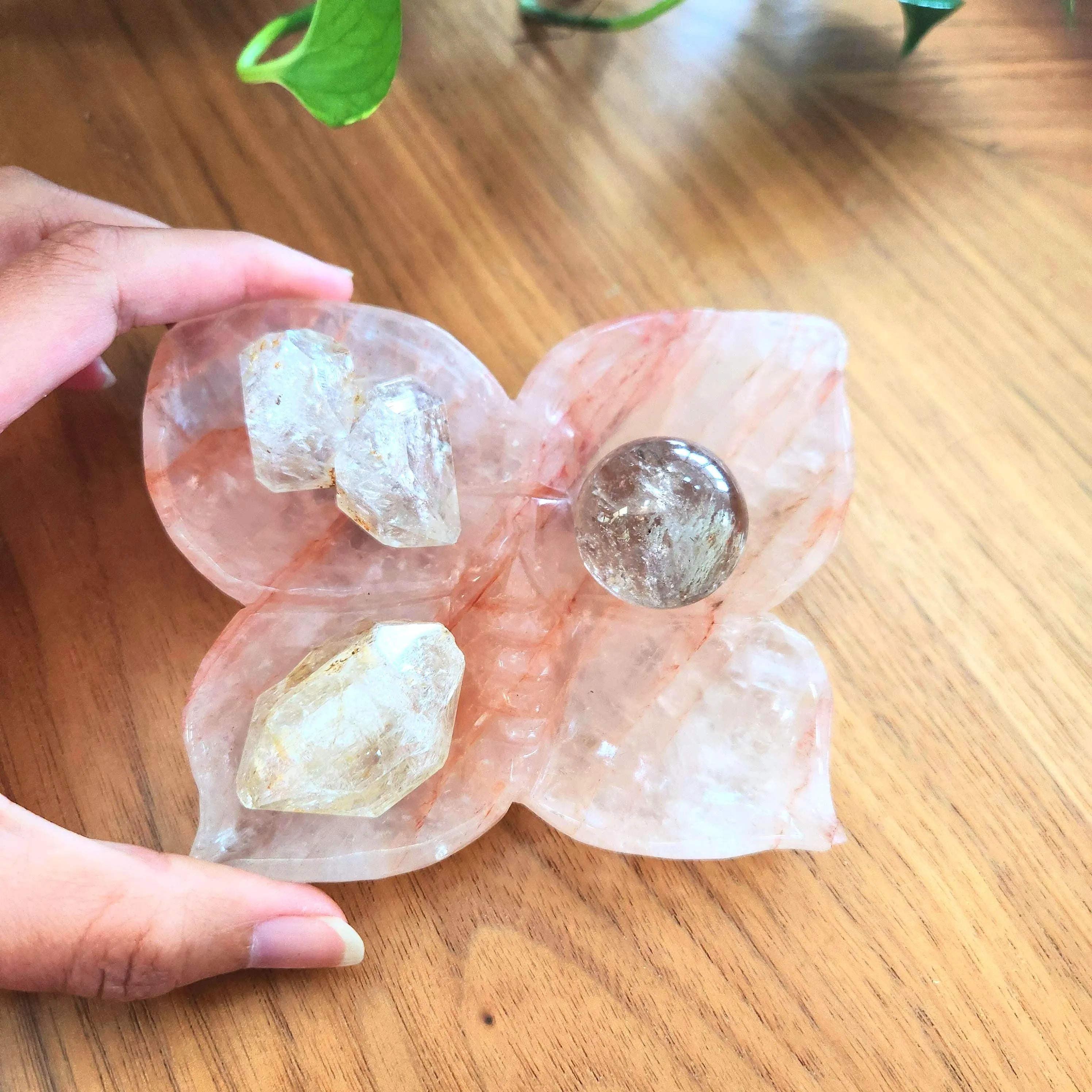 Fire Quartz Butterfly Dish • 5" x 4" Crystal Dish • Red Hematoid Butterfly dish 