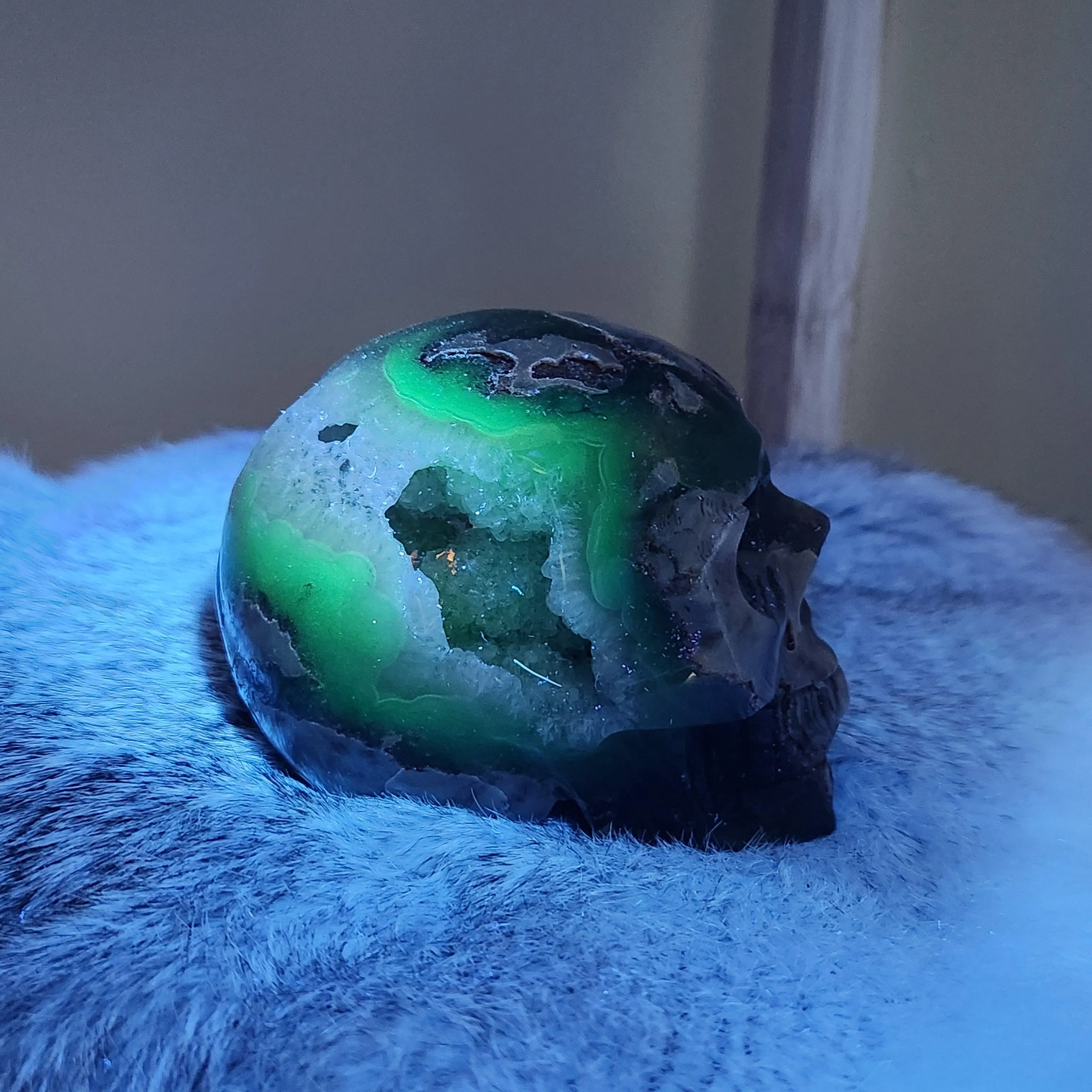 Volcano Agate Skull • UV reactive 3 6" crystal skull head carving • Florescent Luminous Glow Green Crystal Skull