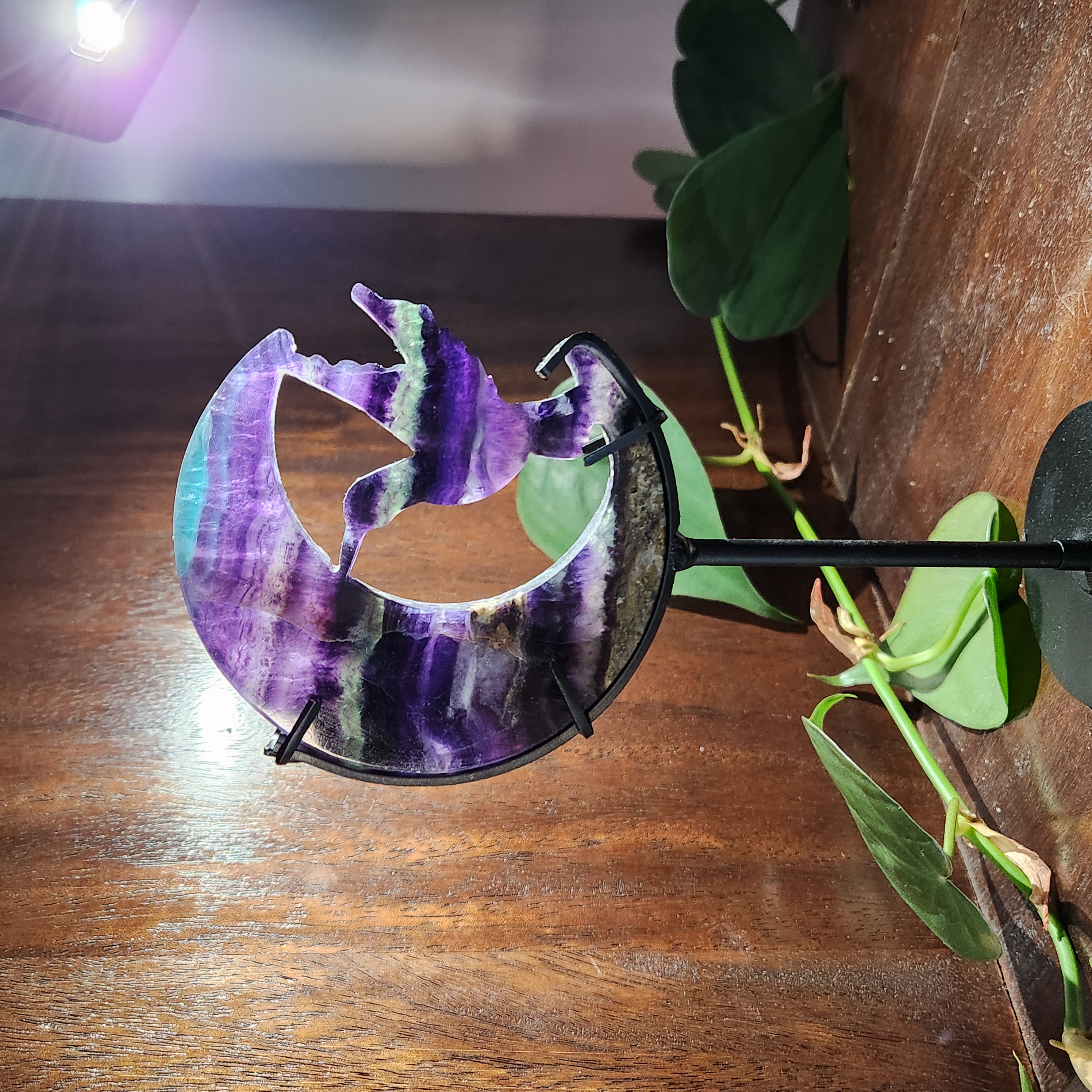 Fluorite Hummingbird • 7" Rainbow Fluorite Crystal Hummingbird Carving • Protective crystal gift home decoration