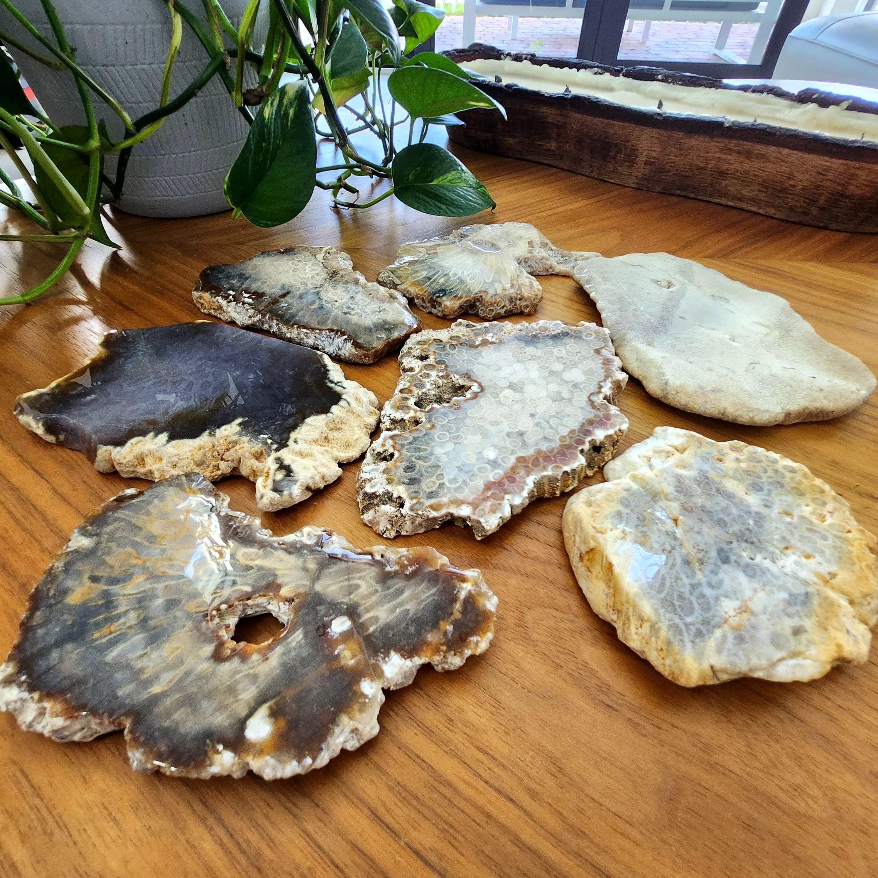 Coral Jade Slab • Fossilized Coral Jade Freeform Slab • Coral Jade slice • Coral Stone Plate Crystal home decoration, stand included