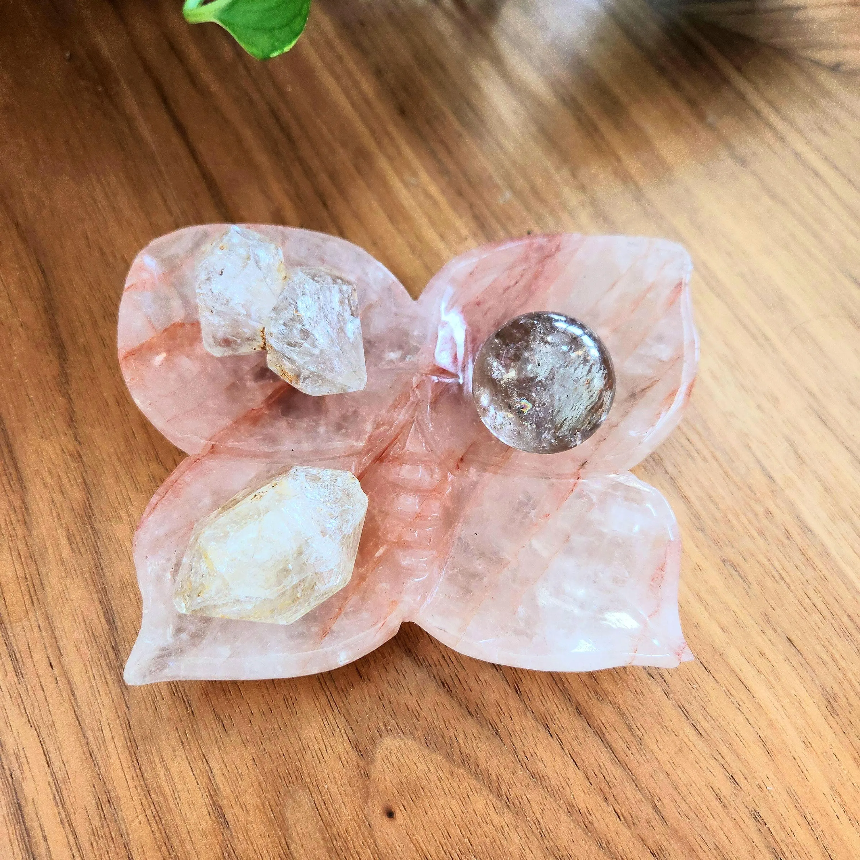 Fire Quartz Butterfly Dish • 5" x 4" Crystal Dish • Red Hematoid Butterfly dish 