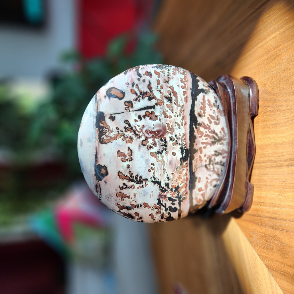 Picture Jasper • XXL Round Disc 9.25" Picture Jasper display • Crystal  gift Home Decoration - stand included