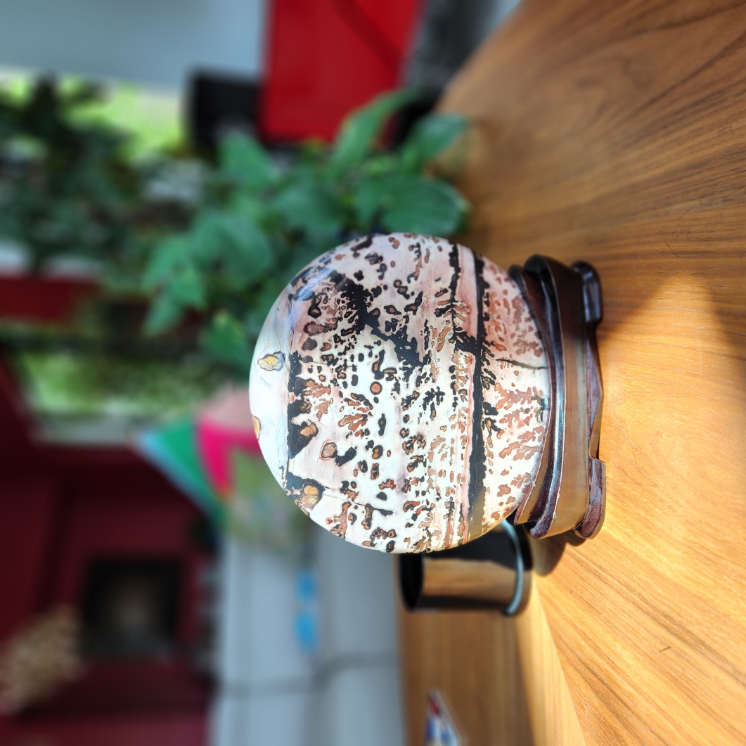 Picture Jasper • XXL Round Disc 9.25" Picture Jasper display • Crystal  gift Home Decoration - stand included